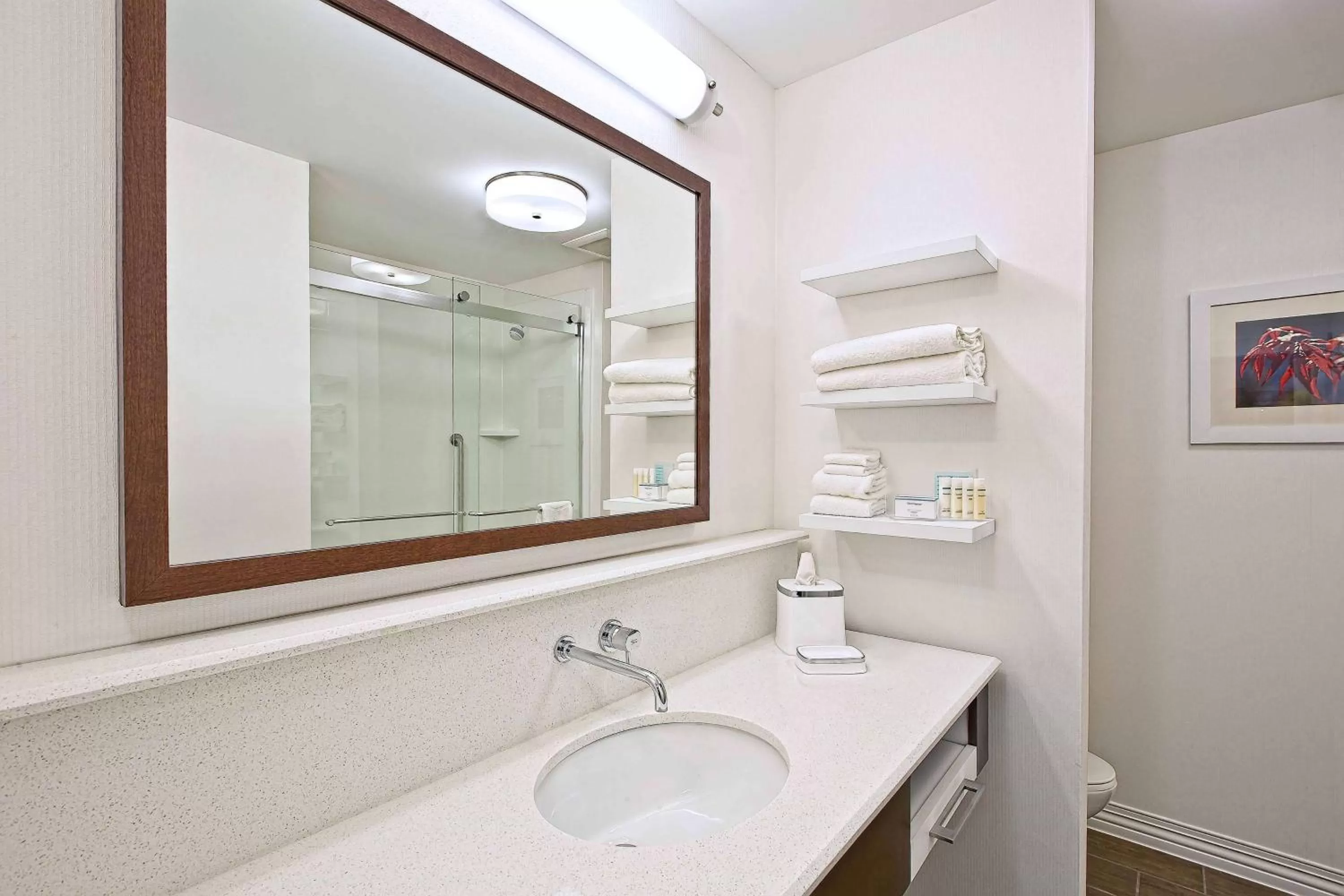 Bathroom in Hampton Inn by Hilton West Bloomfield Novi