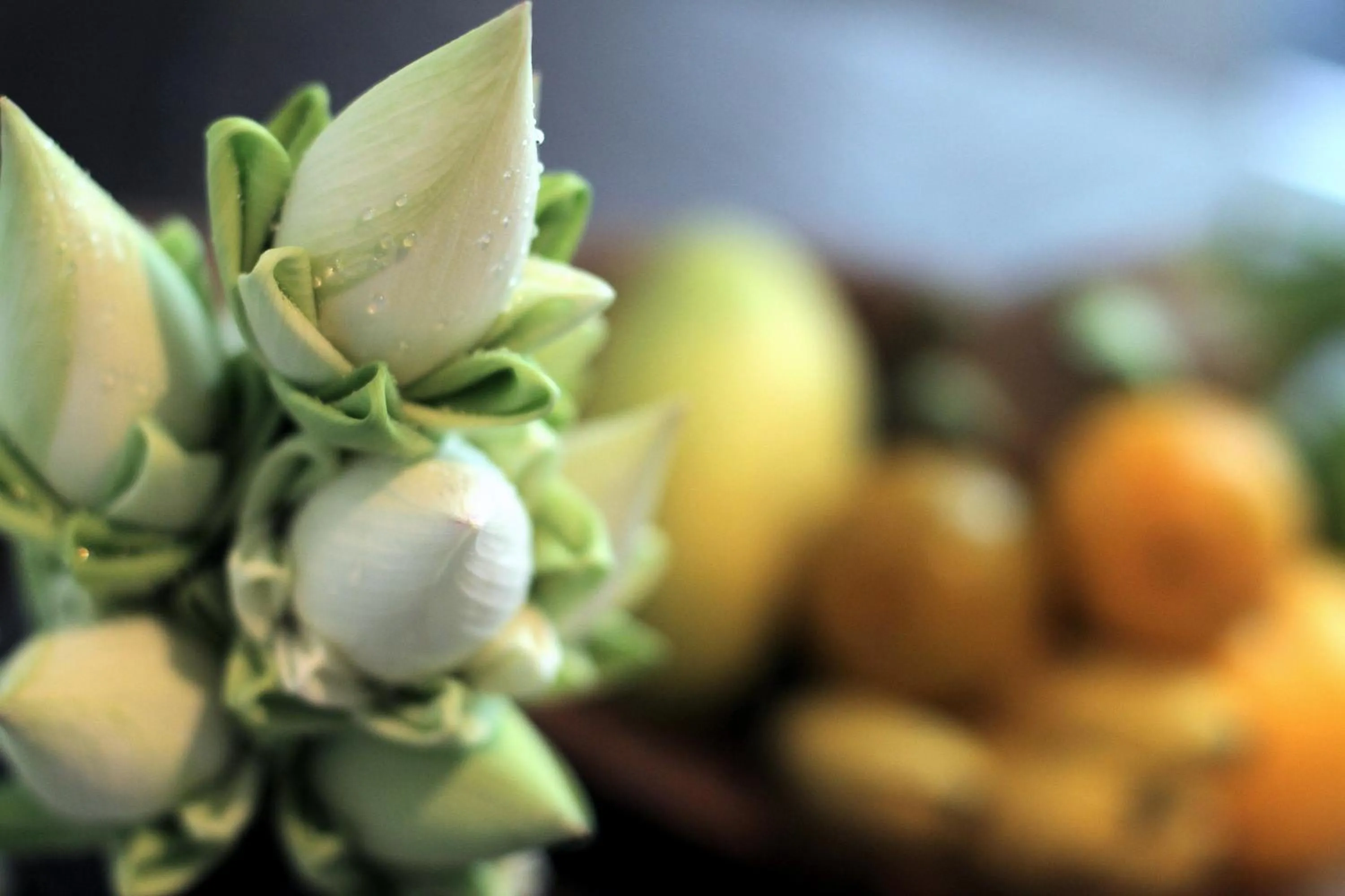 Spa and wellness centre/facilities in Bensley Collection Pool Villas - Shinta Mani Angkor