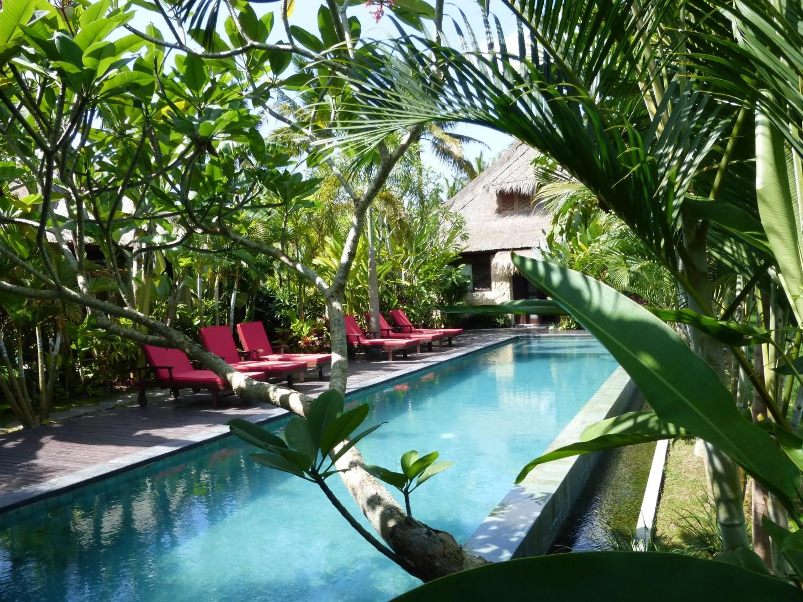 Garden in Bali Harmony Villa