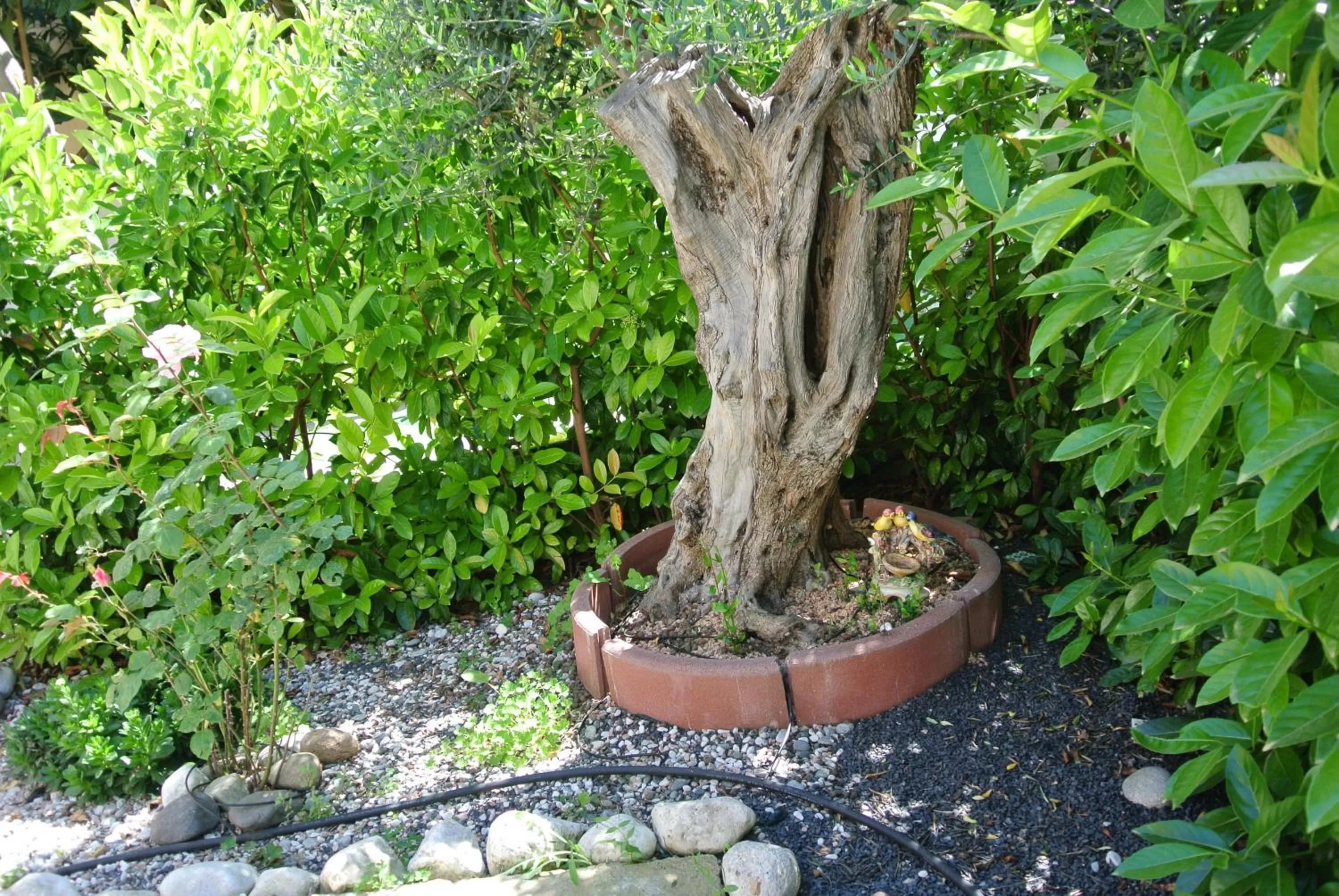 Day in B&B La Villetta Palese