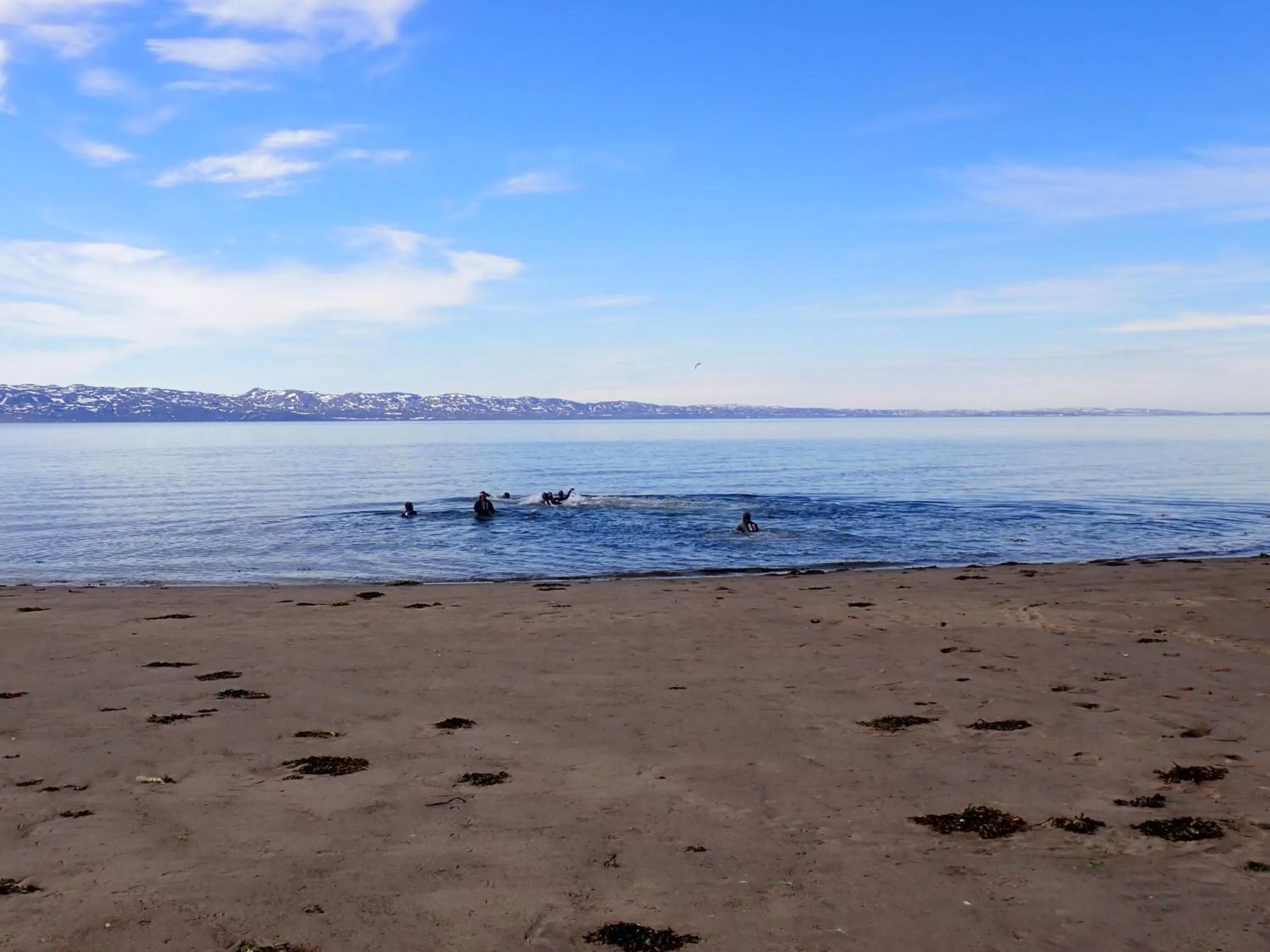 Beach in Jakobselvkaia