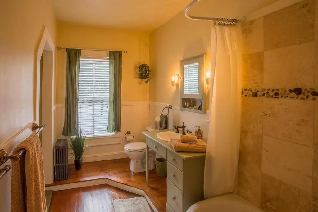 Bathroom in Snow Goose Bed and Breakfast