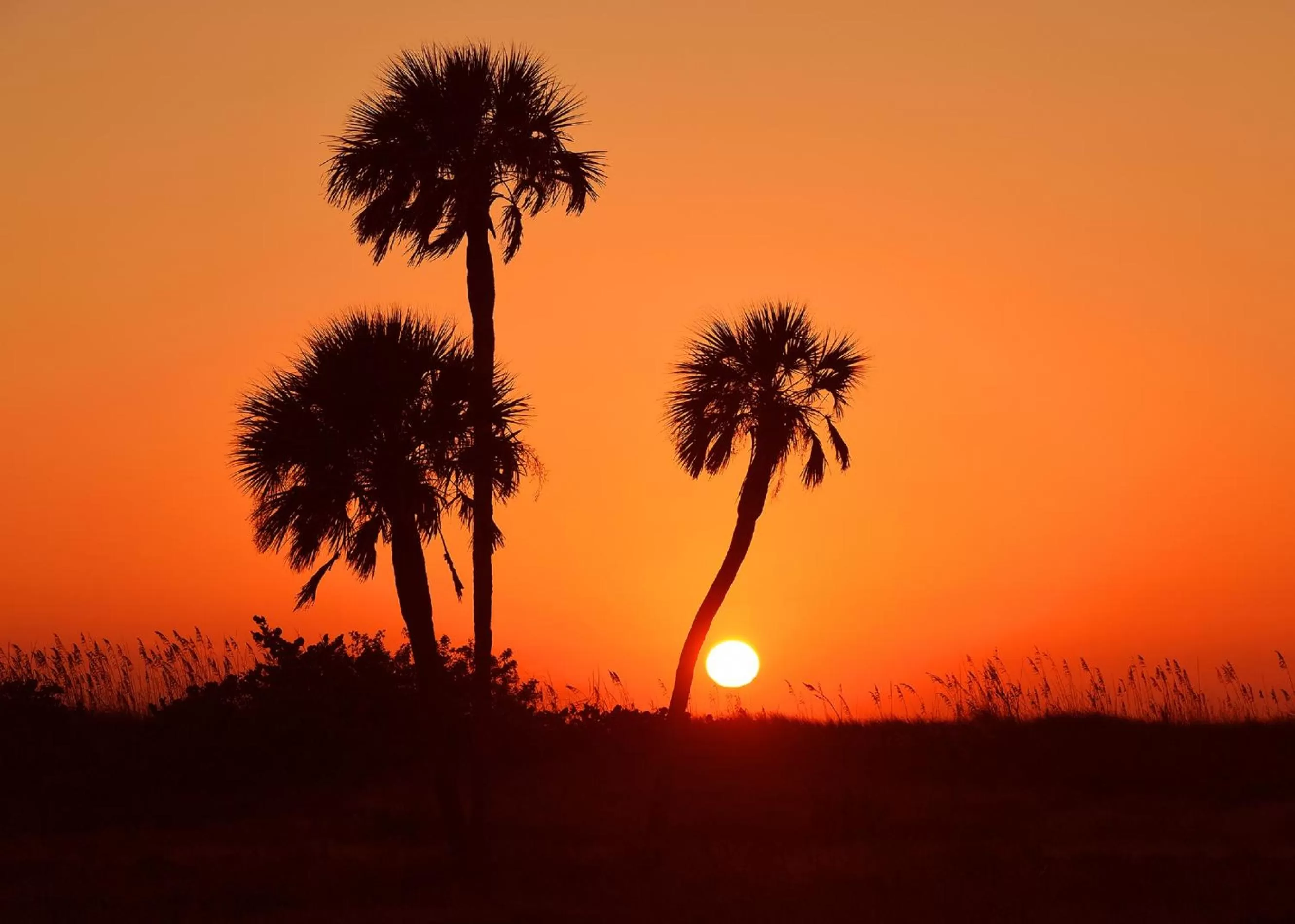 Beach in Plaza Beach Hotel - Beachfront Resort