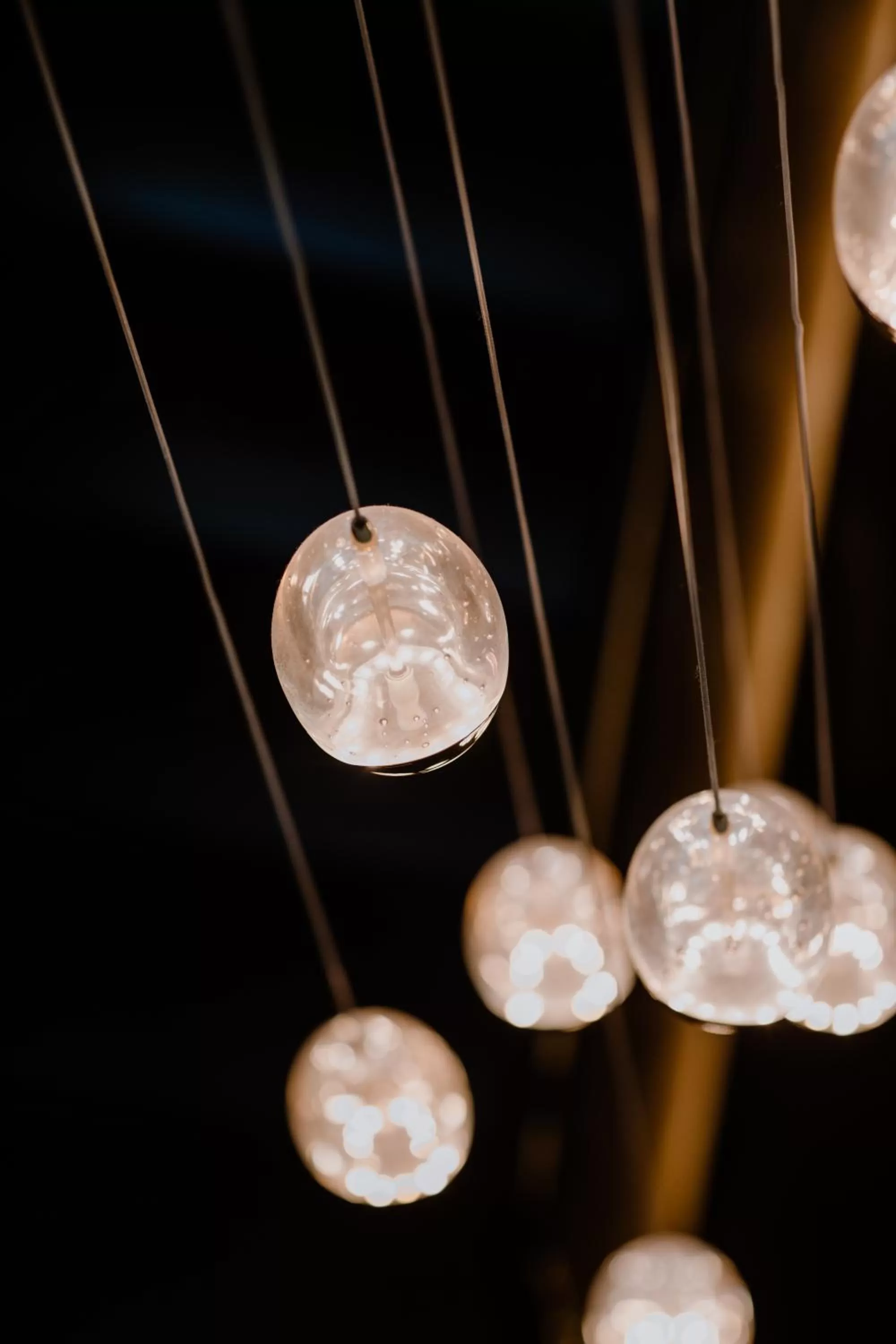 Living room in Prince Albert Lyon Bercy
