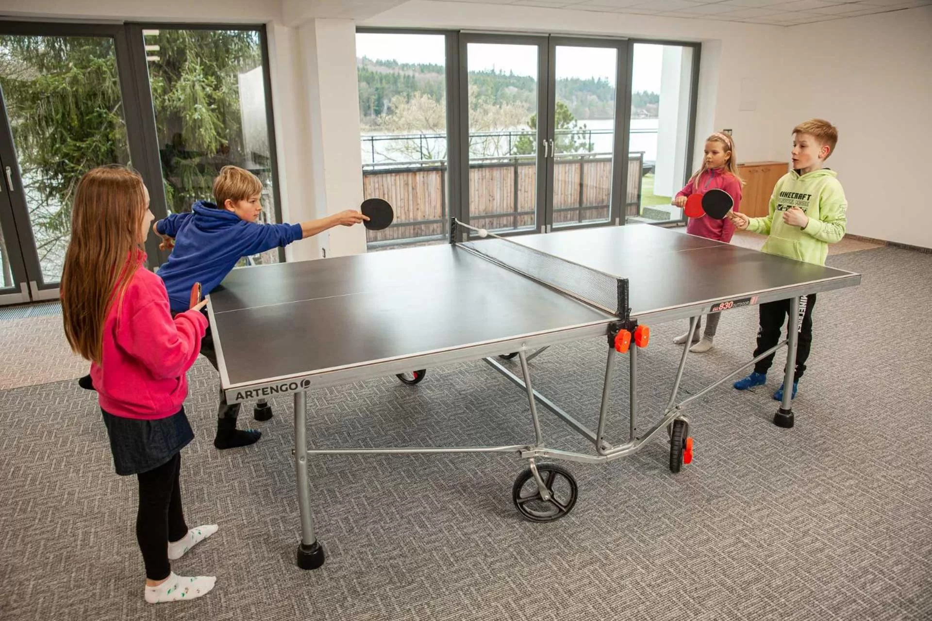 Game Room in Hotel Kras