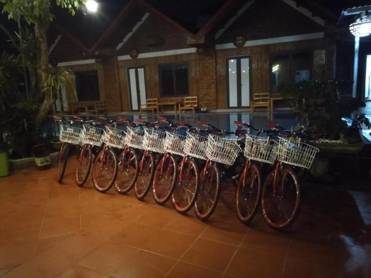 Night in Tam Coc Charming Bungalow