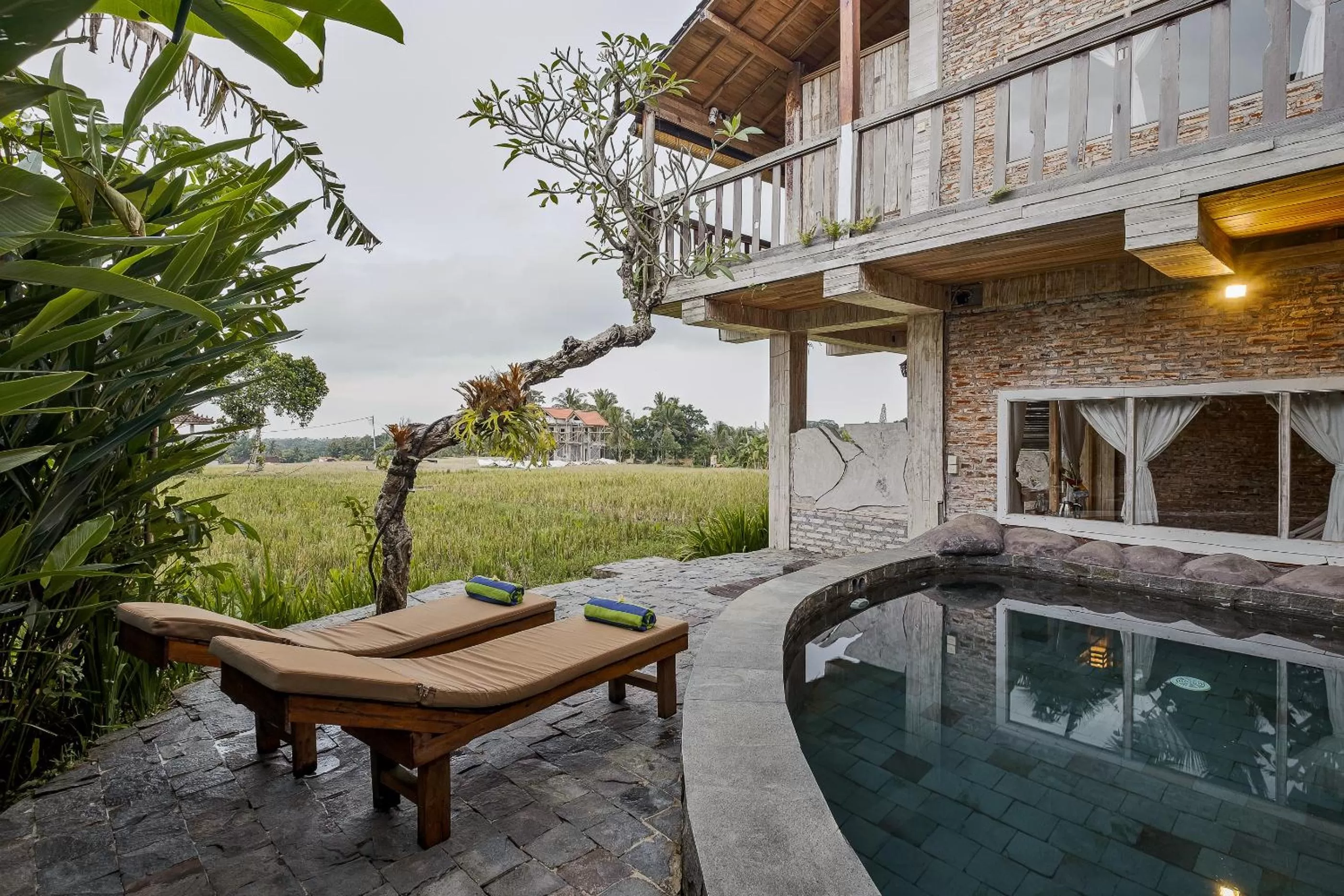 Patio in Joglo Organik Guesthouse