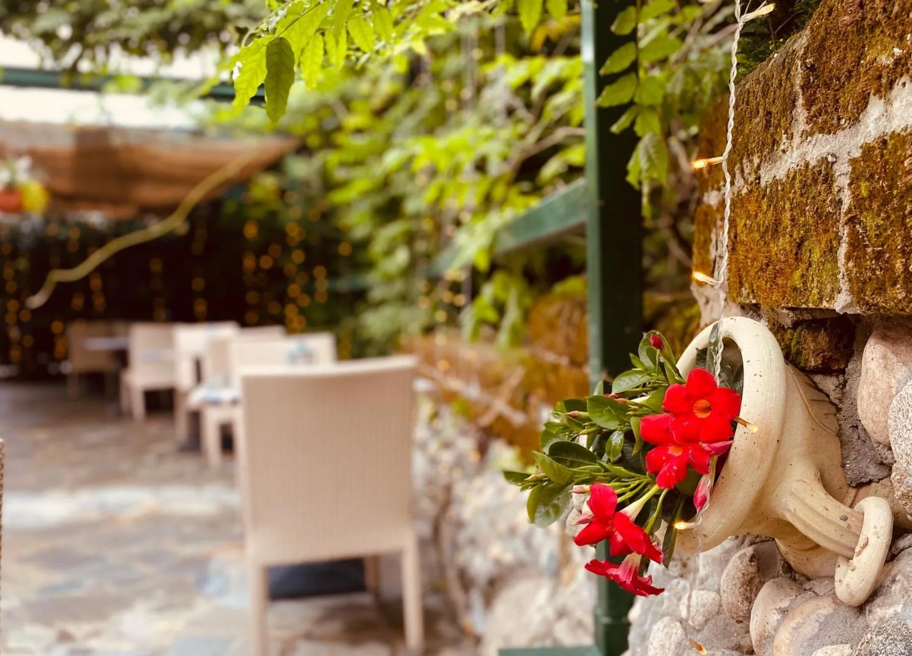 Garden in Impero Hotel Beauty & Spa - Bike Hotel