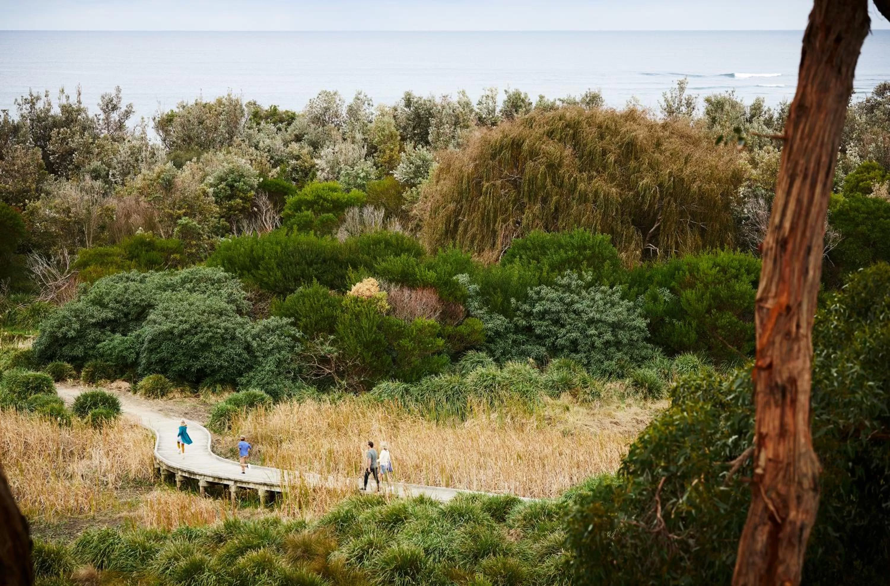 Natural landscape in RACV Inverloch Resort