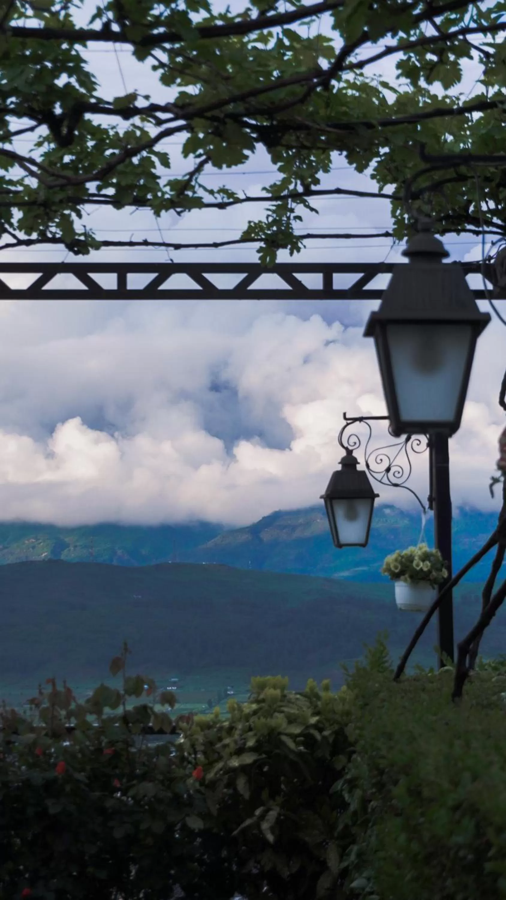 Natural landscape in Boutique Hotel Musée