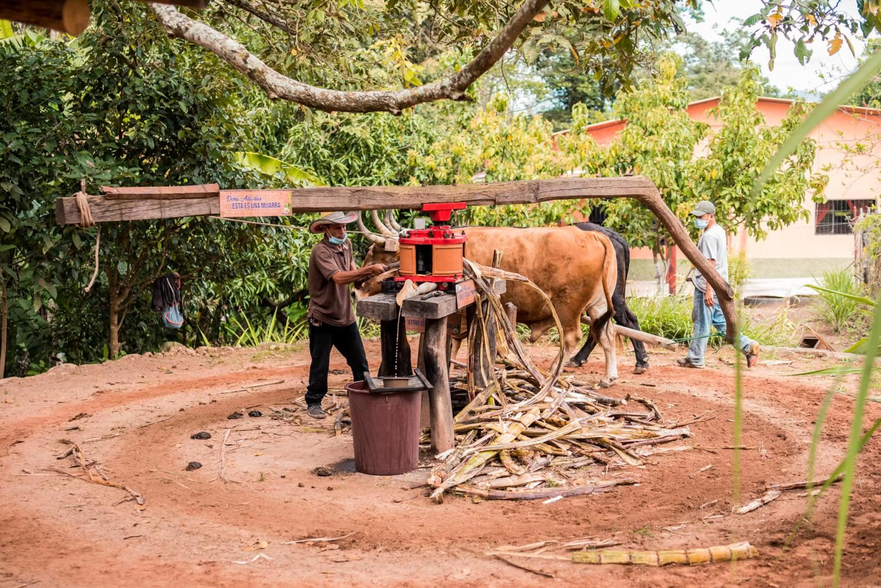 Activities, Other Animals in Hotel de Campo Villa de Ada