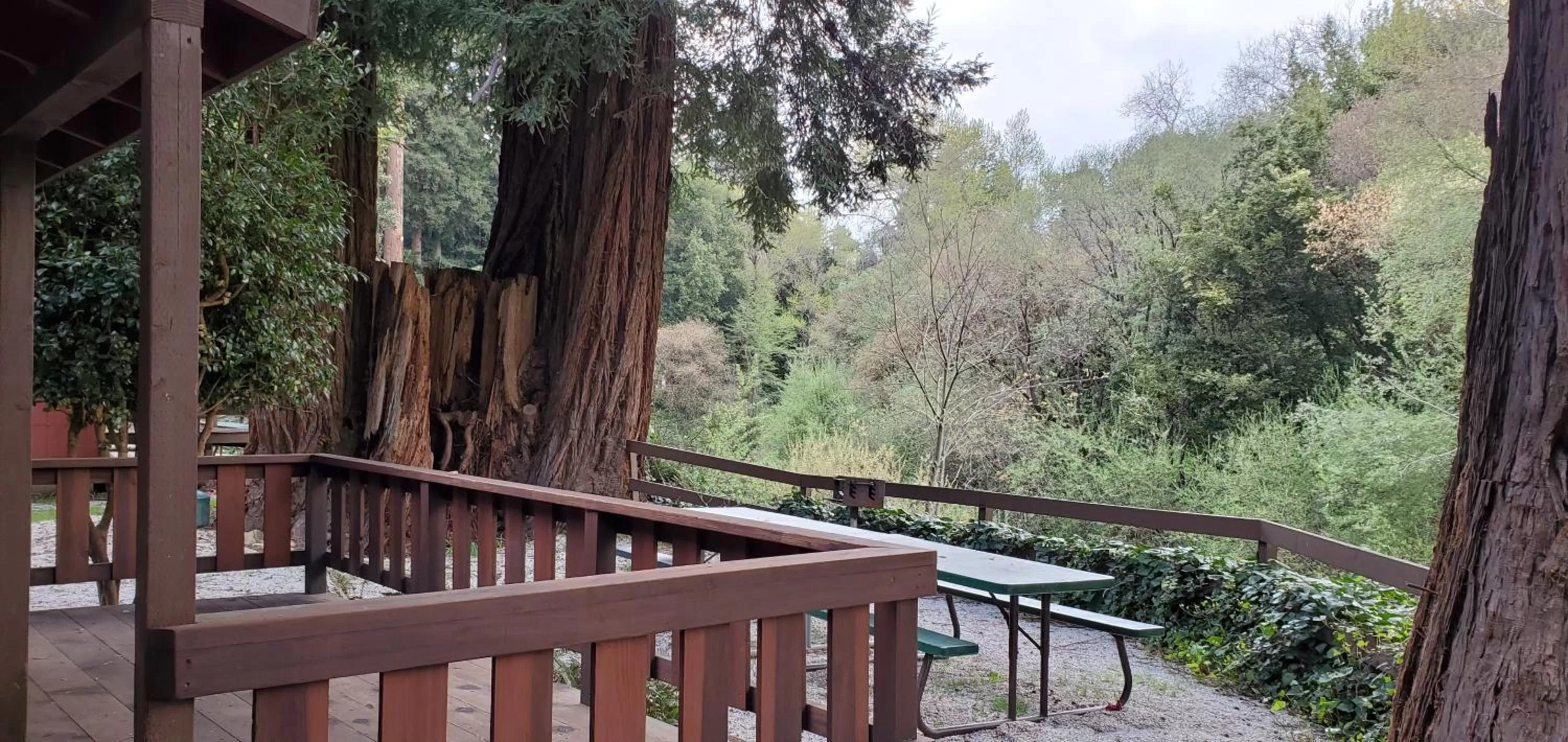 Garden view, Balcony/Terrace in Fern River Resort