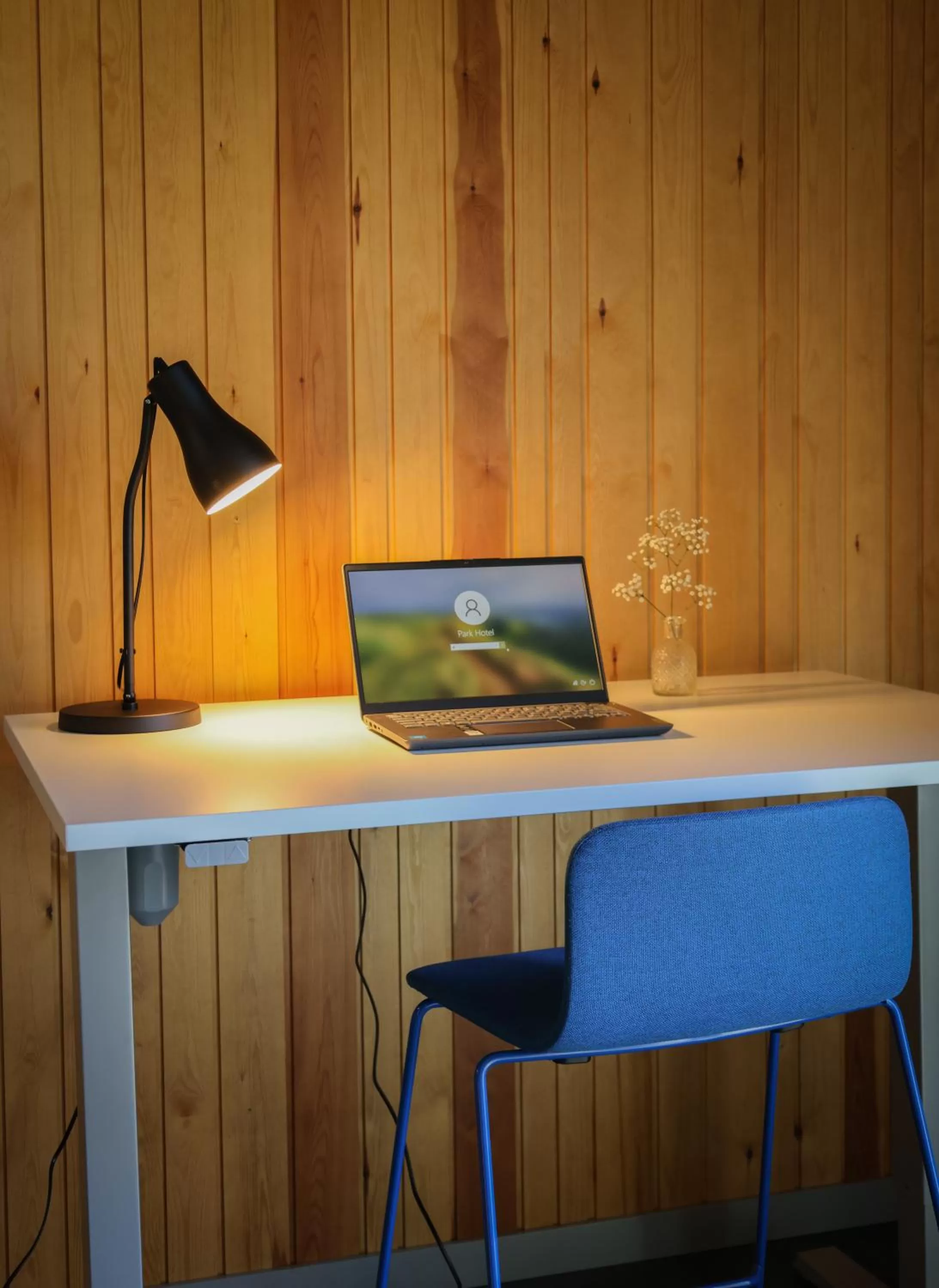 TV and multimedia in Park Hotel Liminka