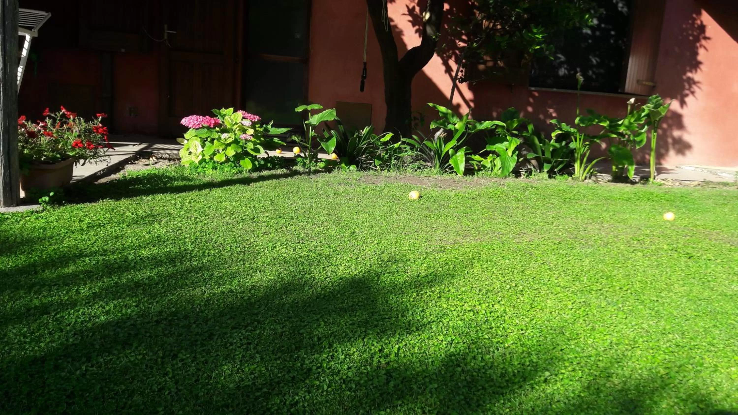 Property building in La Casa Rossa