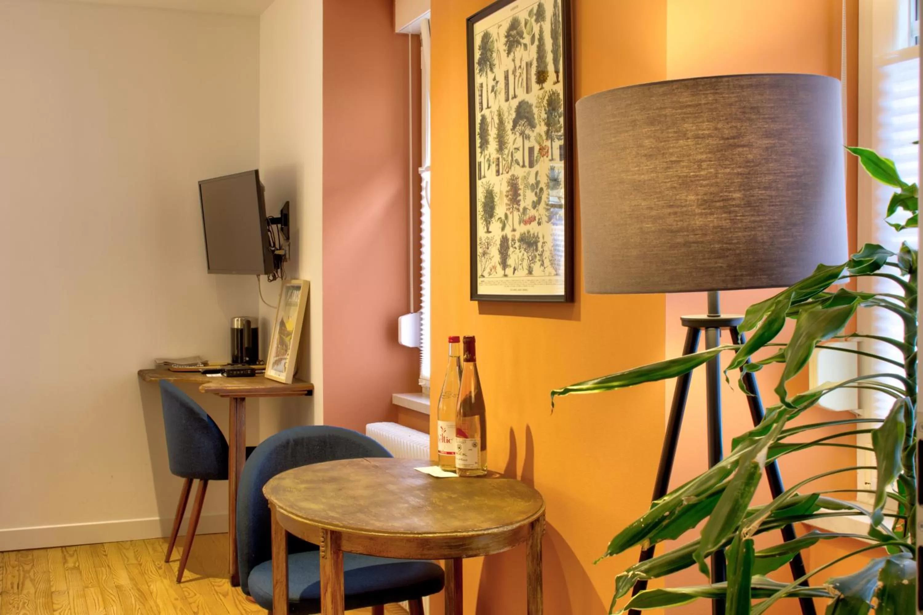 TV and multimedia in La Maison Forestière