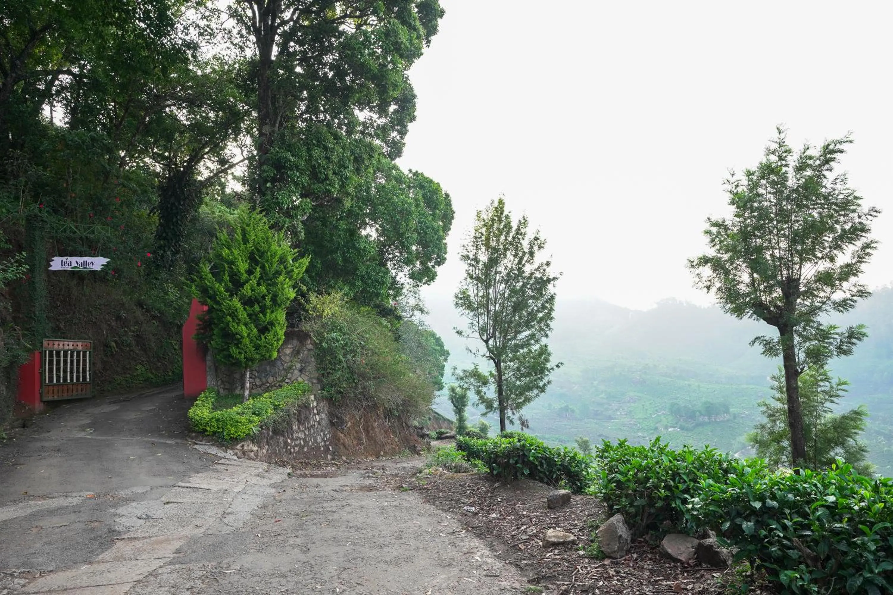 Natural landscape in Tea Valley Resort, Munnar
