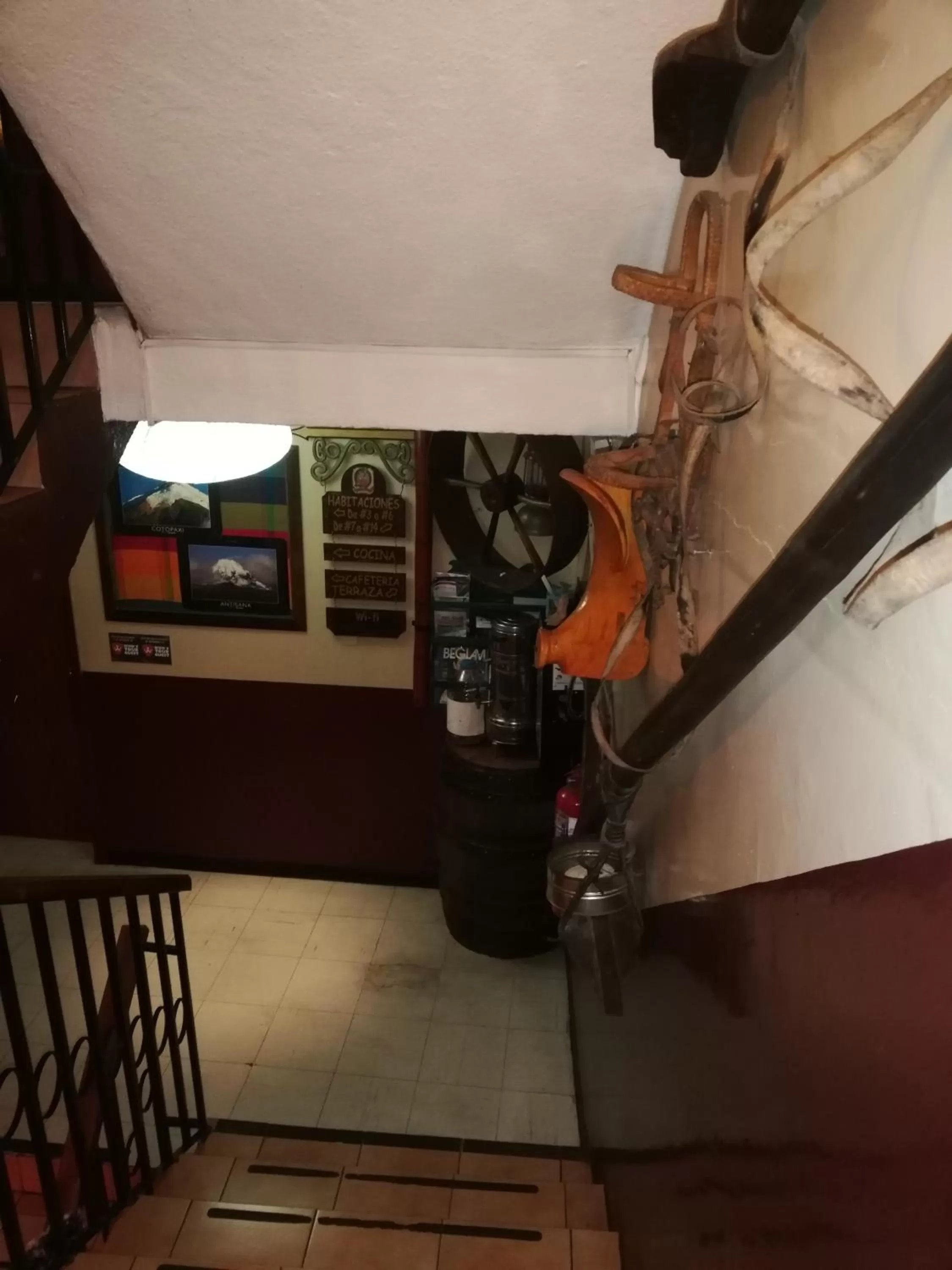 Lobby or reception in Flying Donkey