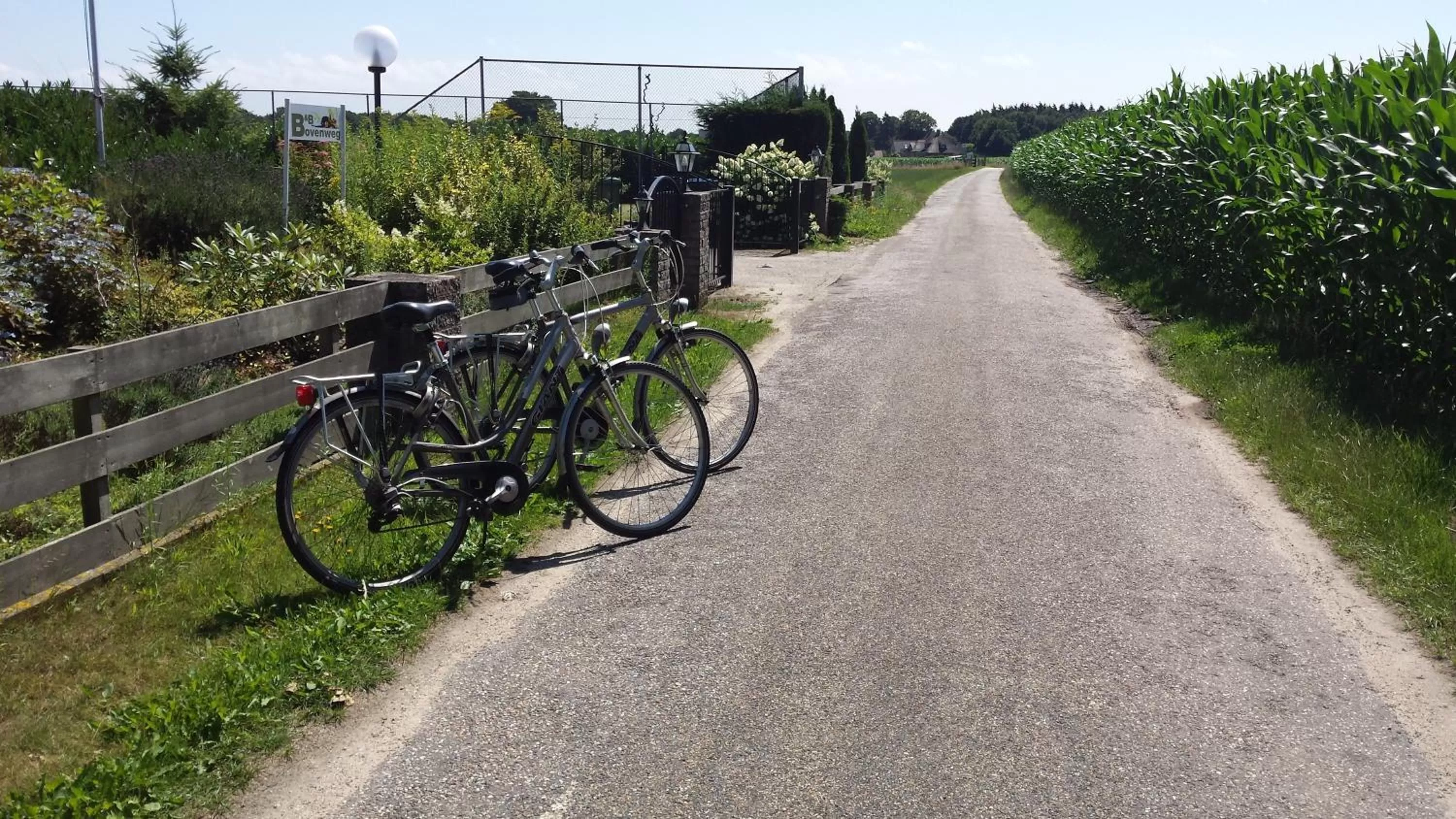 Cycling in B&B Bovenweg