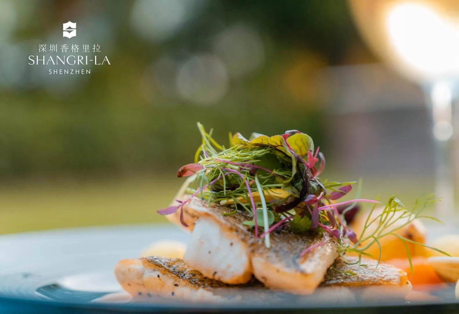 Food and drinks in Shangri-La Shenzhen - Nearby Luohu Border, Outdoor Swimming Pool