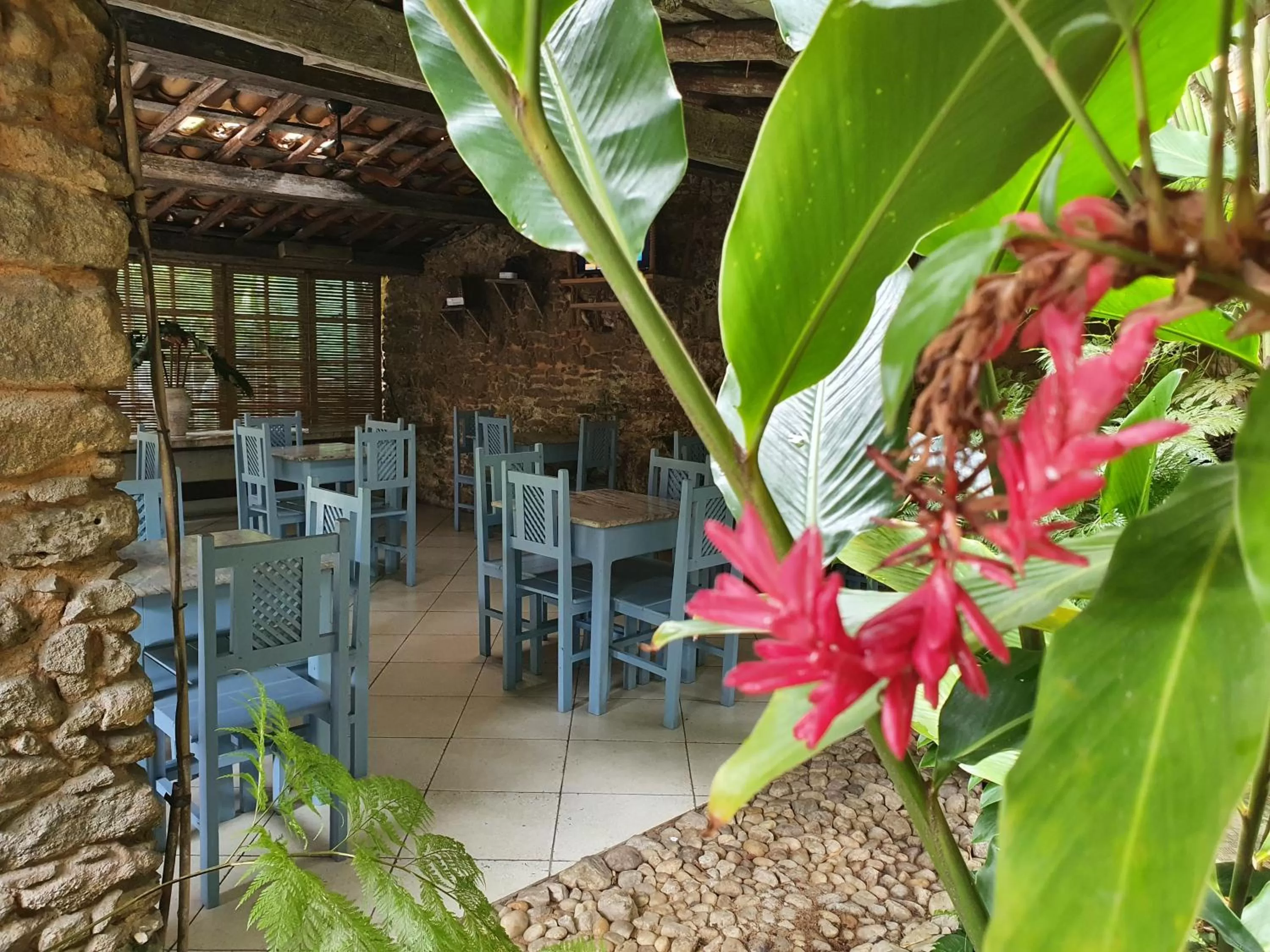 Garden in Hotel Estalagem Porto Seguro