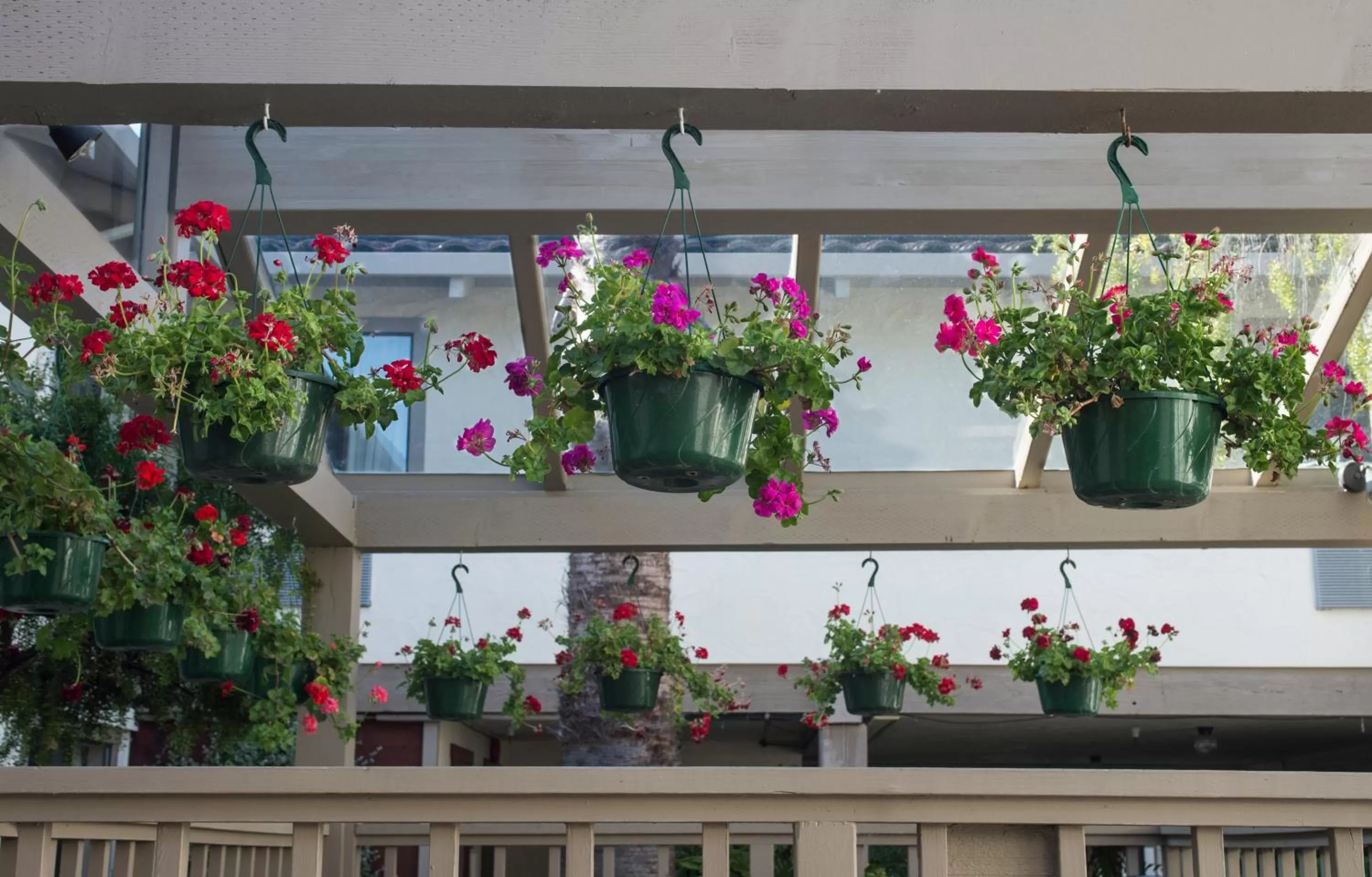 Spring in Mission Inn