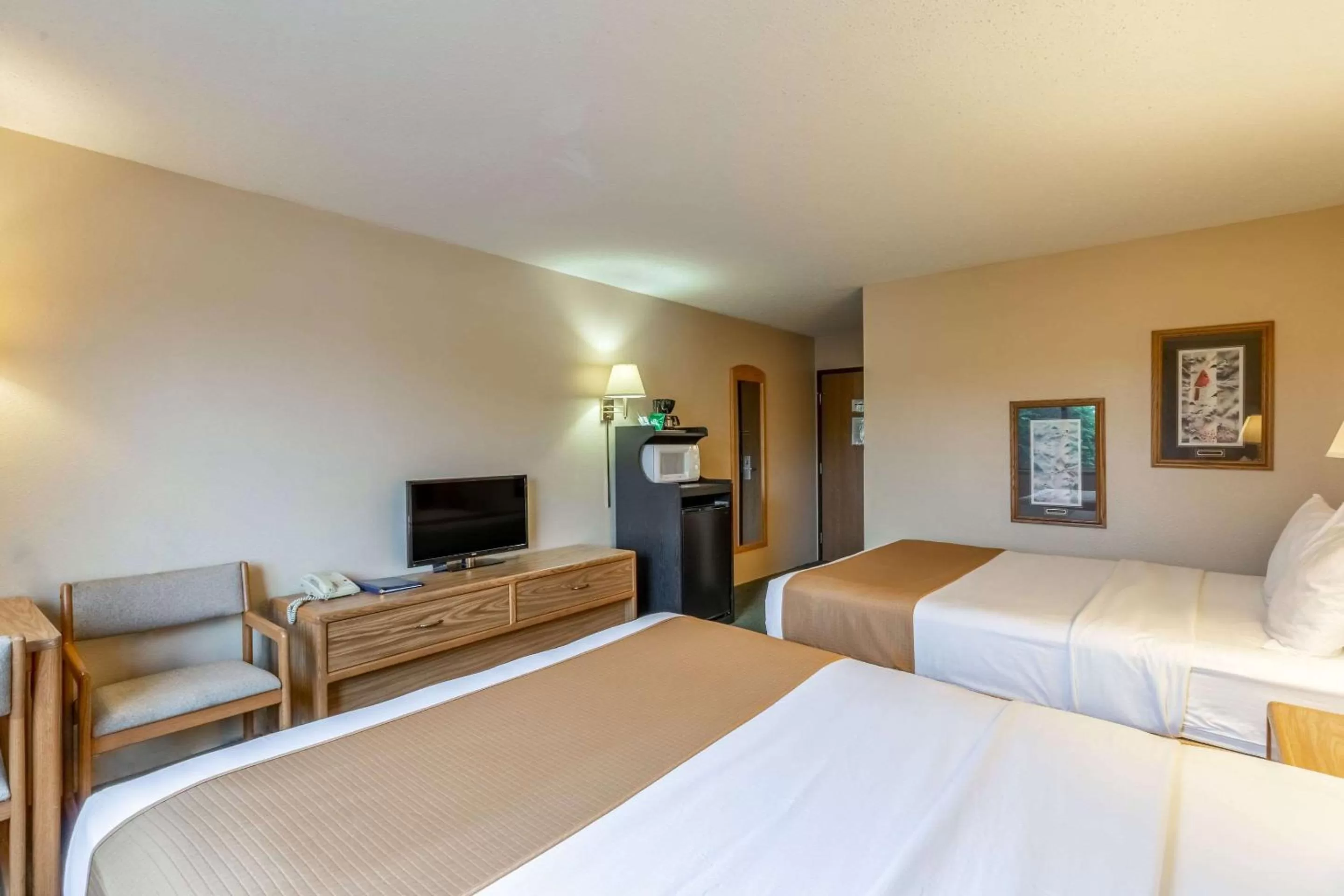 Photo of the whole room, Bed in Rodeway Inn