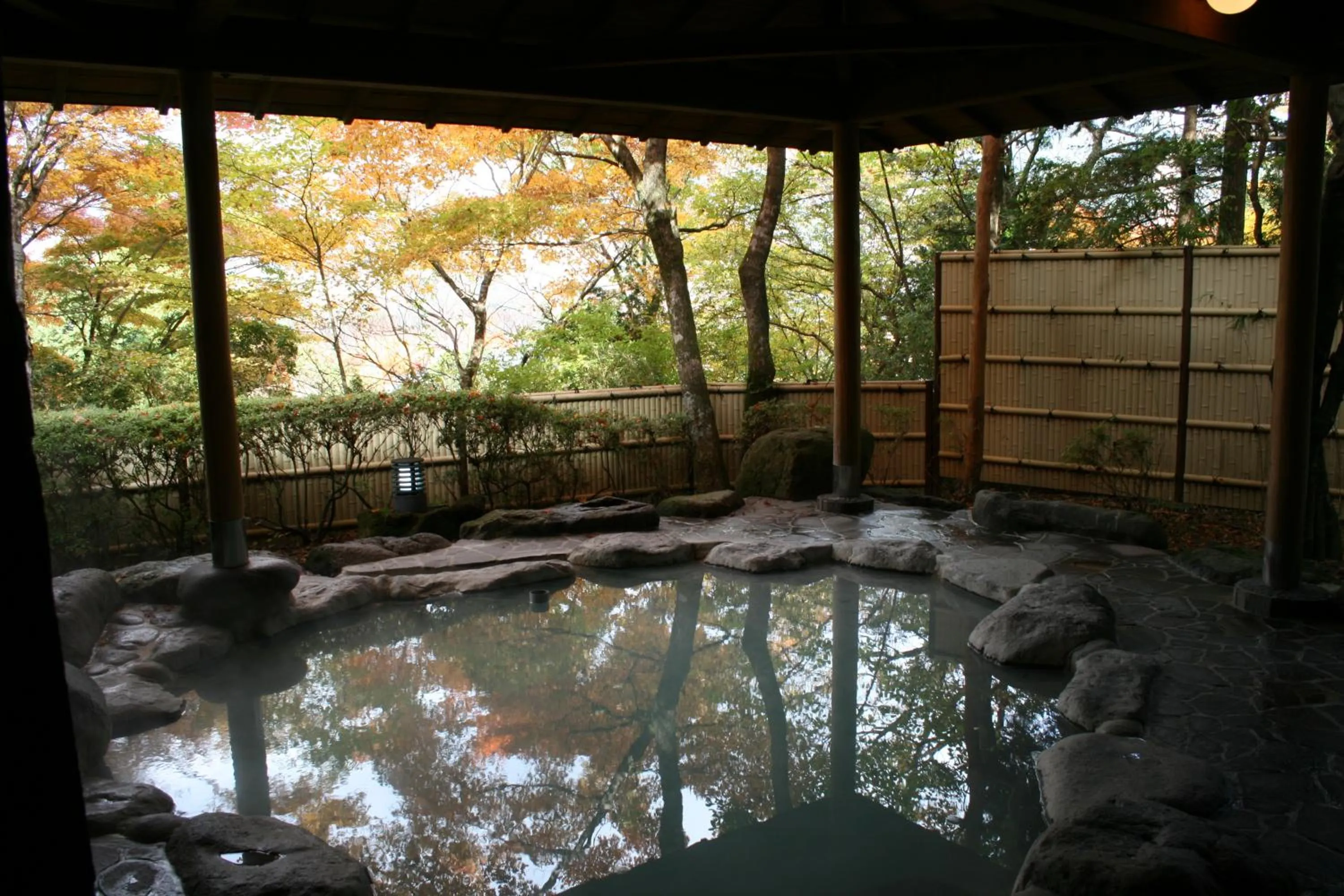 Hot Spring Bath in Senkyoro