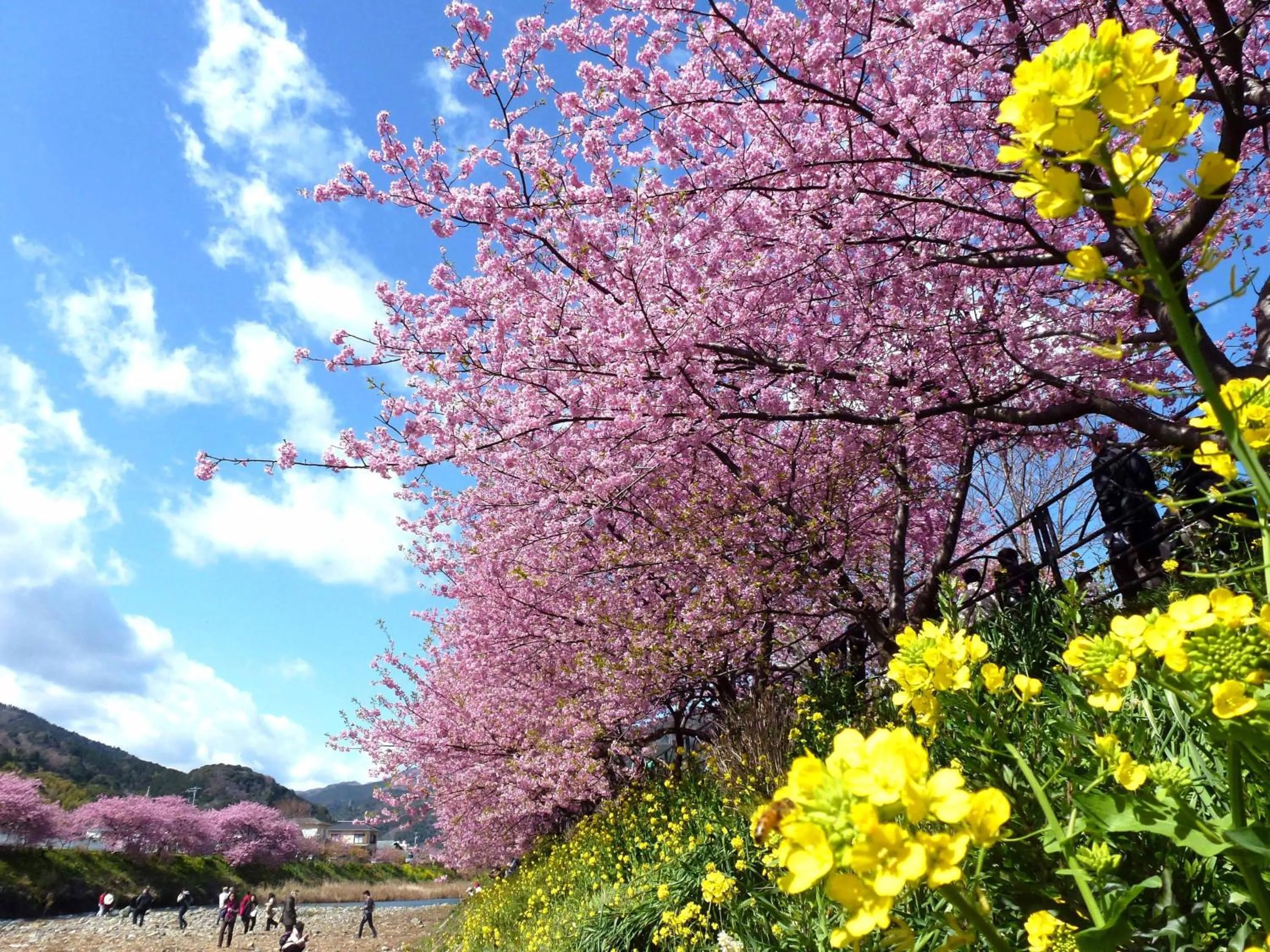 Nearby landmark in Hotel Laforet Shuzenji