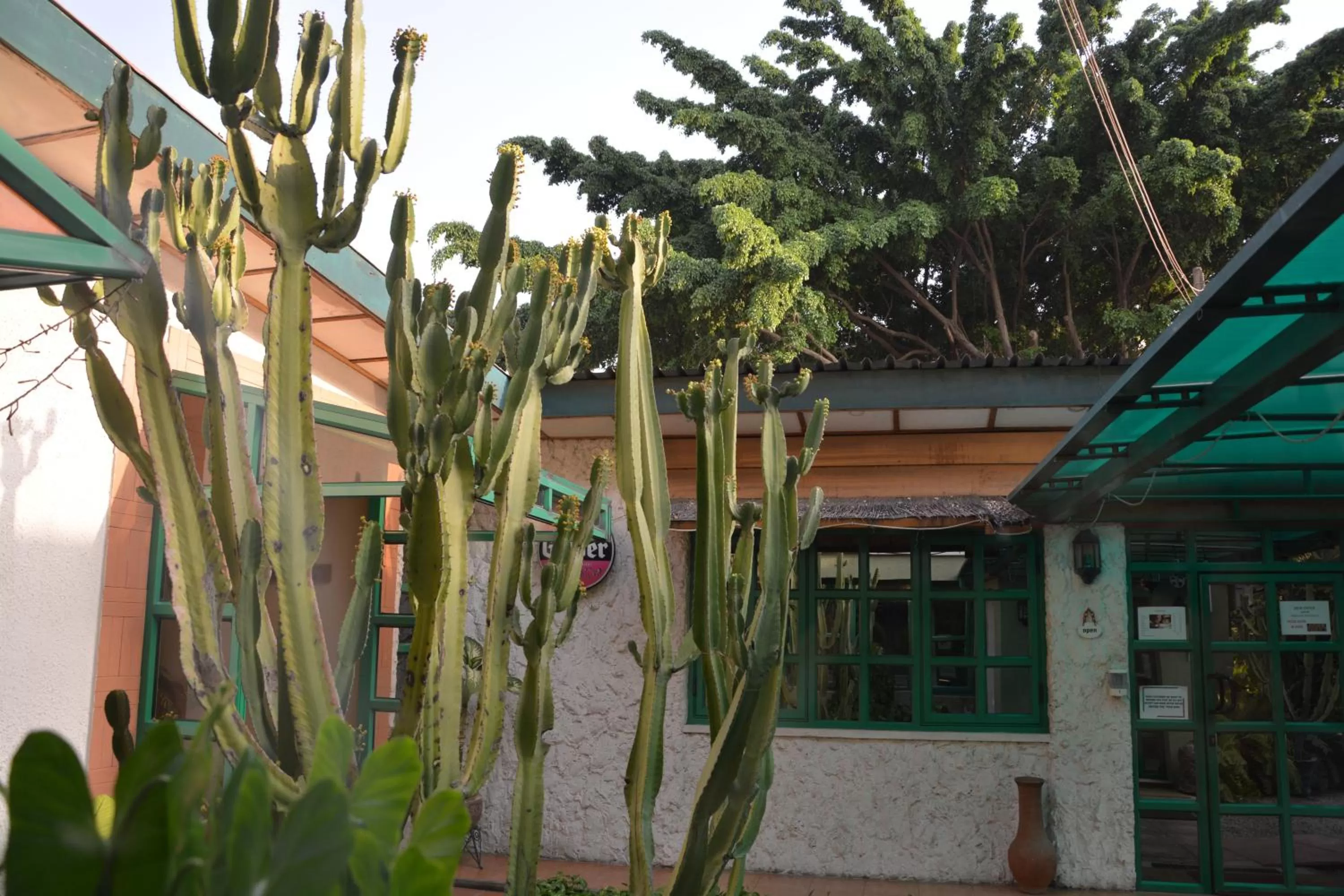 Garden view in Manuela Residence