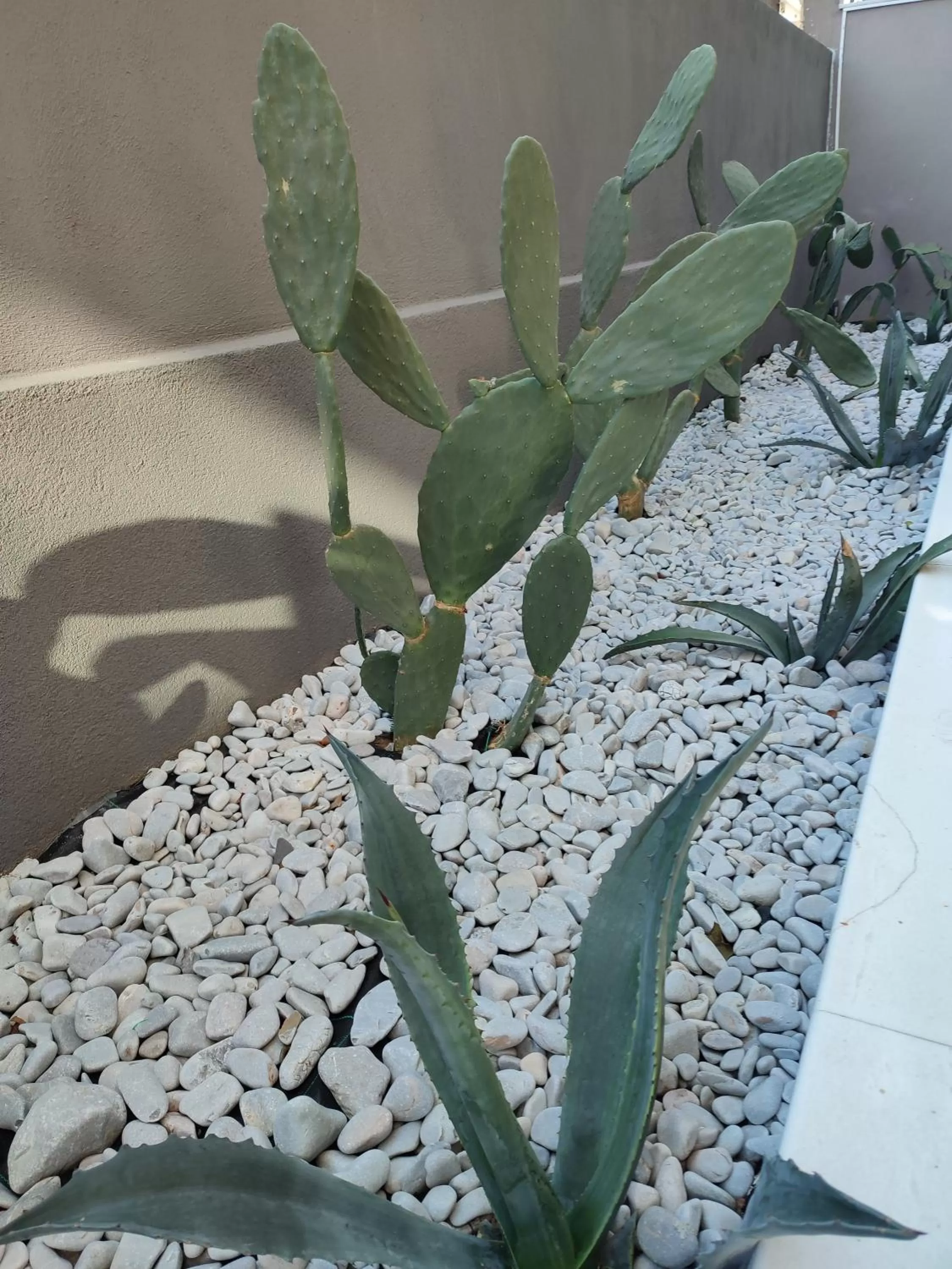 Garden in Light Blue Hotel