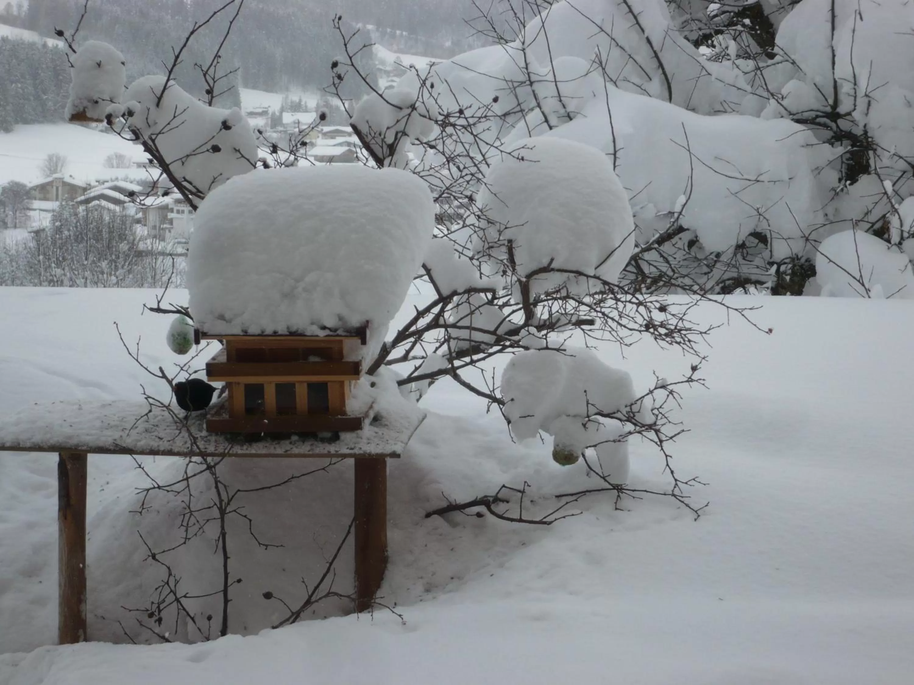 Winter in Hotel Garni Wieshof