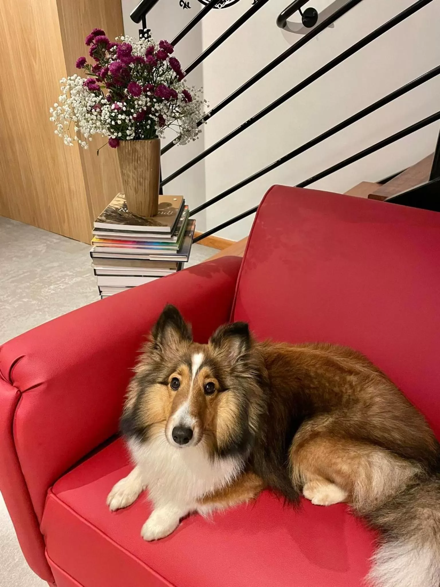 Lobby or reception in Hospedaria da Lagoa