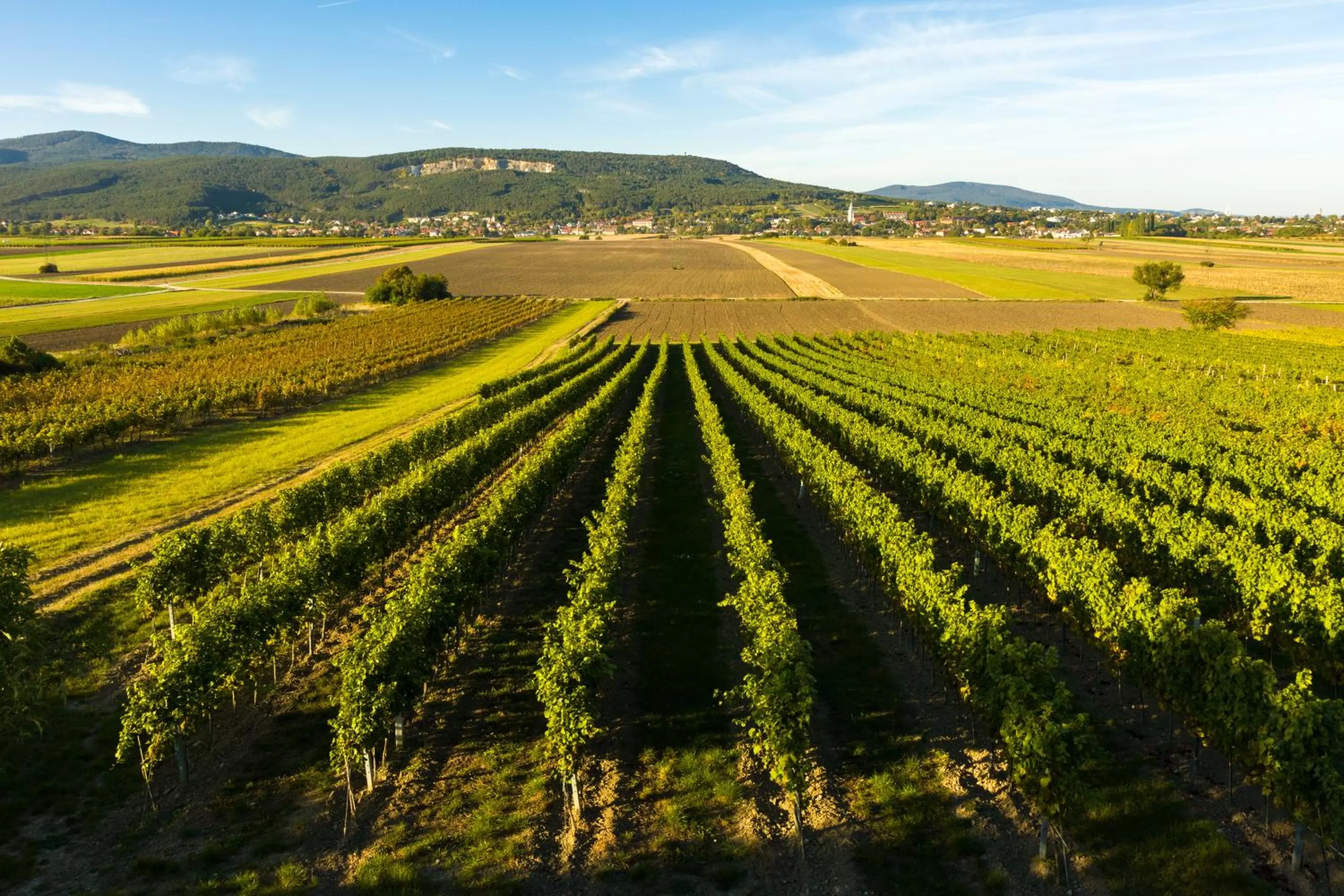 Natural landscape in Office Base Bad Vöslau MOTEL