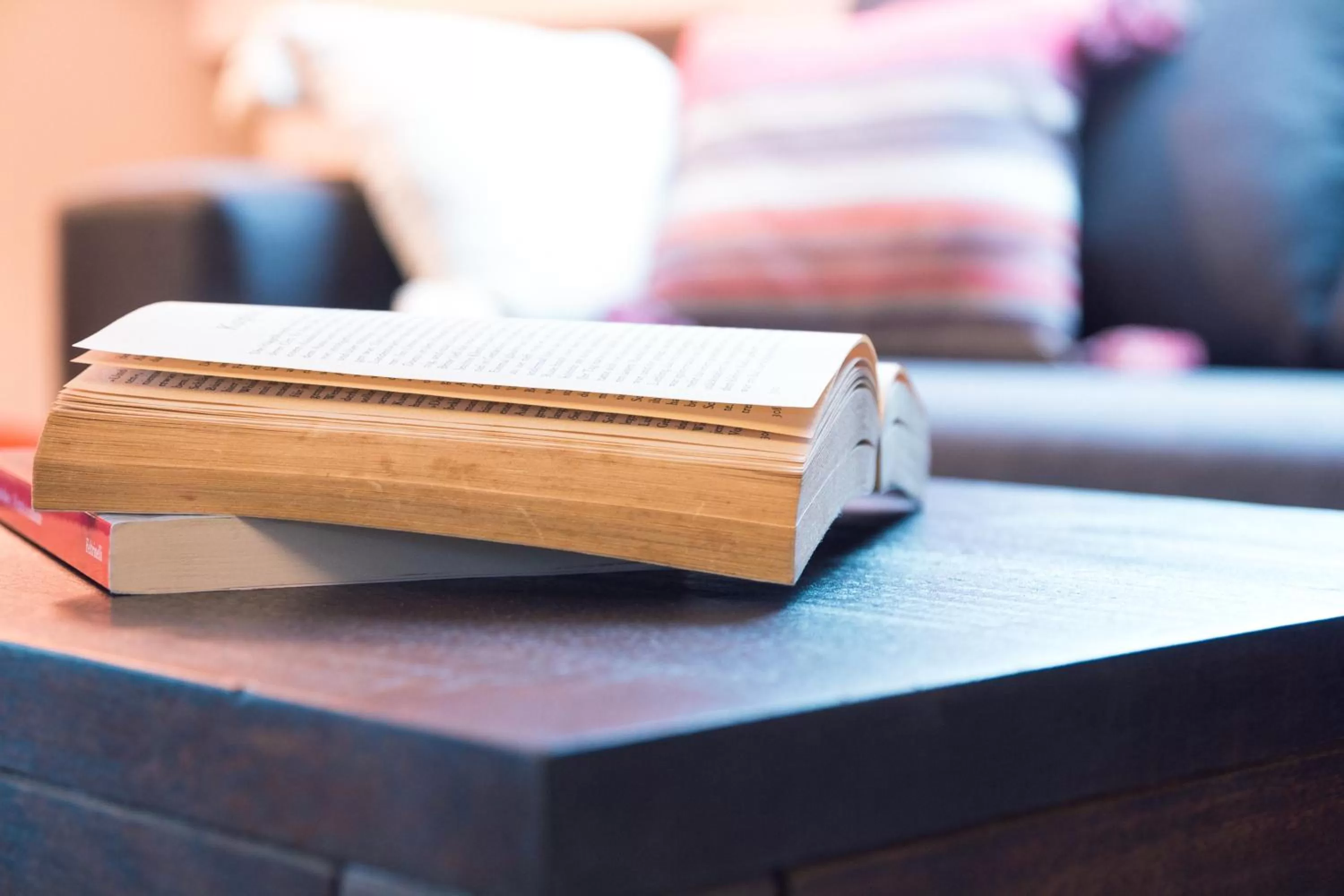 Library in Casa Agnese