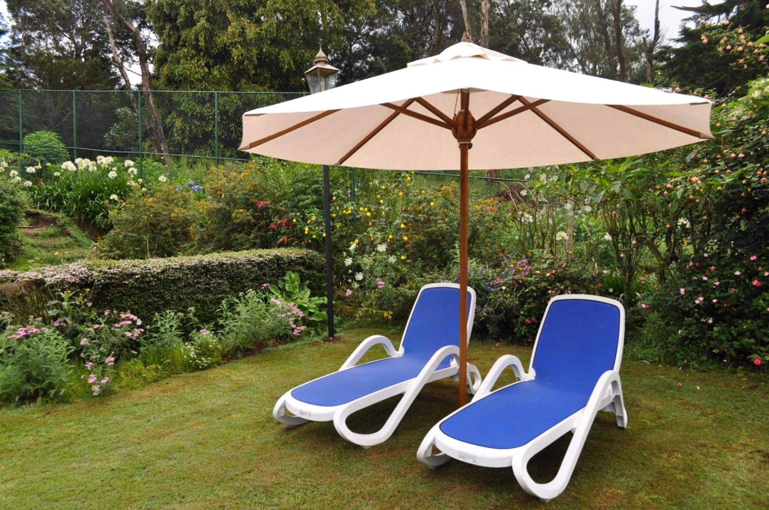 Garden in Royal Cocoon - Nuwara Eliya