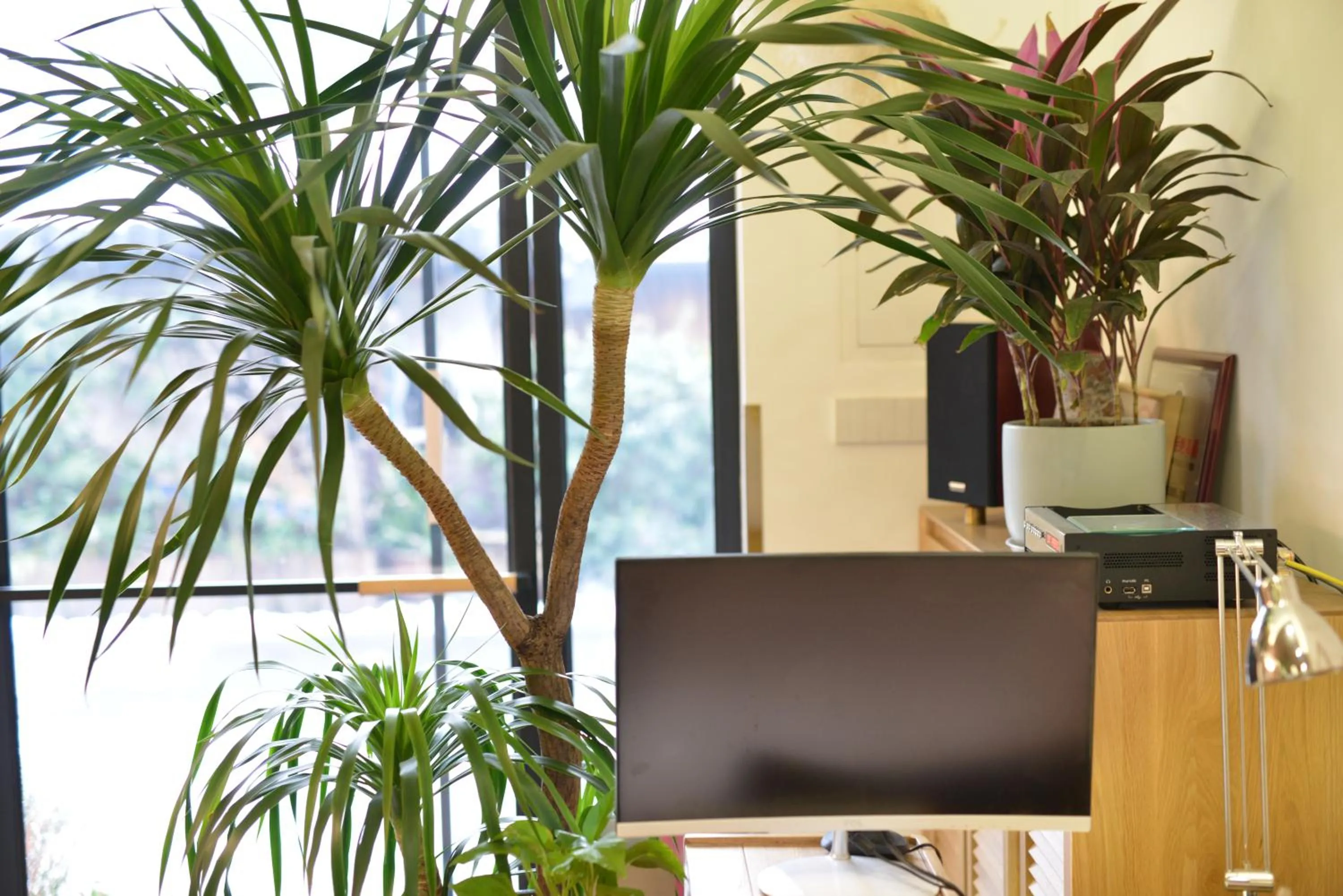 Lobby or reception in Rock&Wood Cozy House