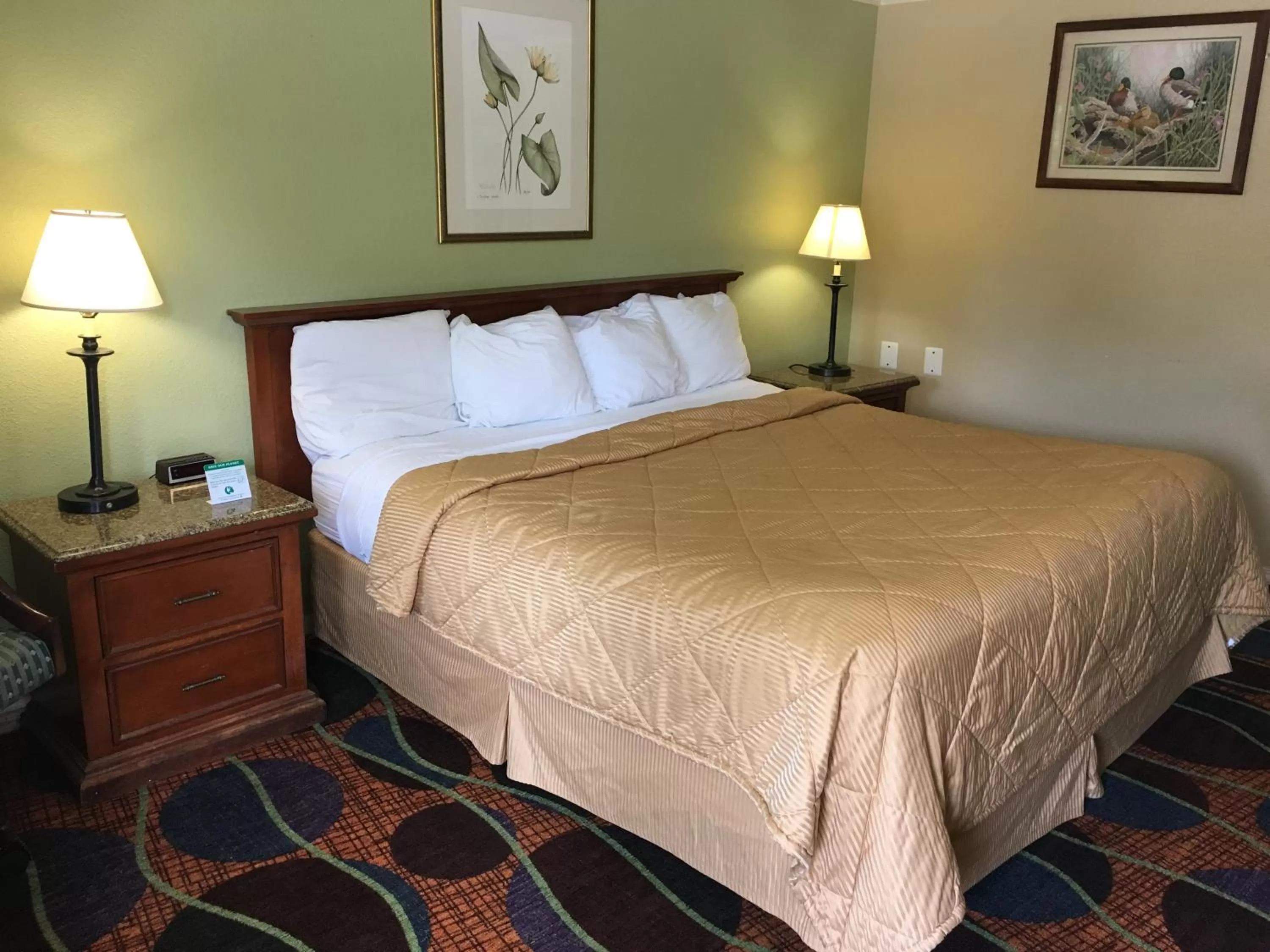 Bed, Room Photo in colony motel Jamestown