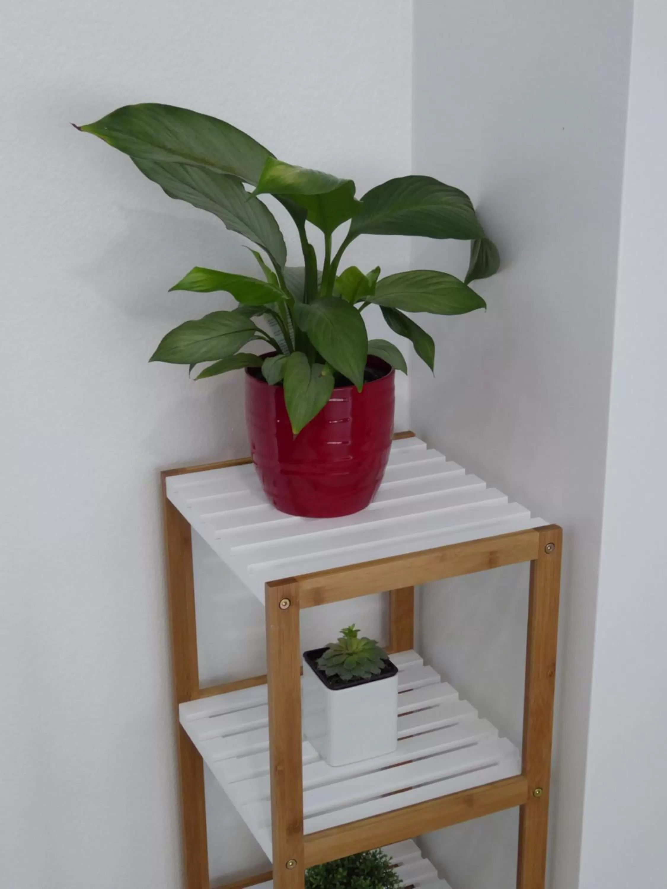 Decorative detail in Parnell Pines Hotel