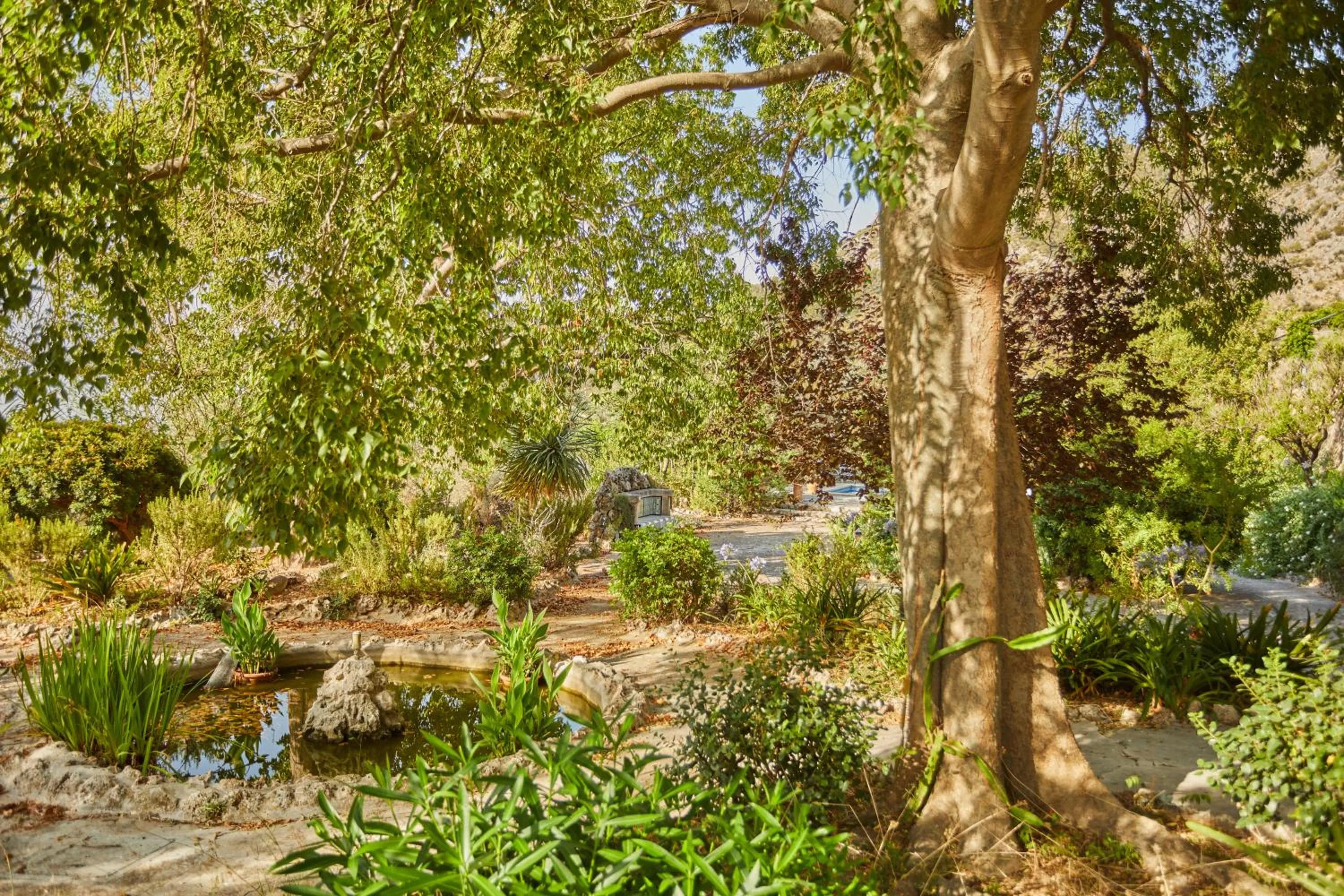 Garden in Agroturismo Alquería Blanca