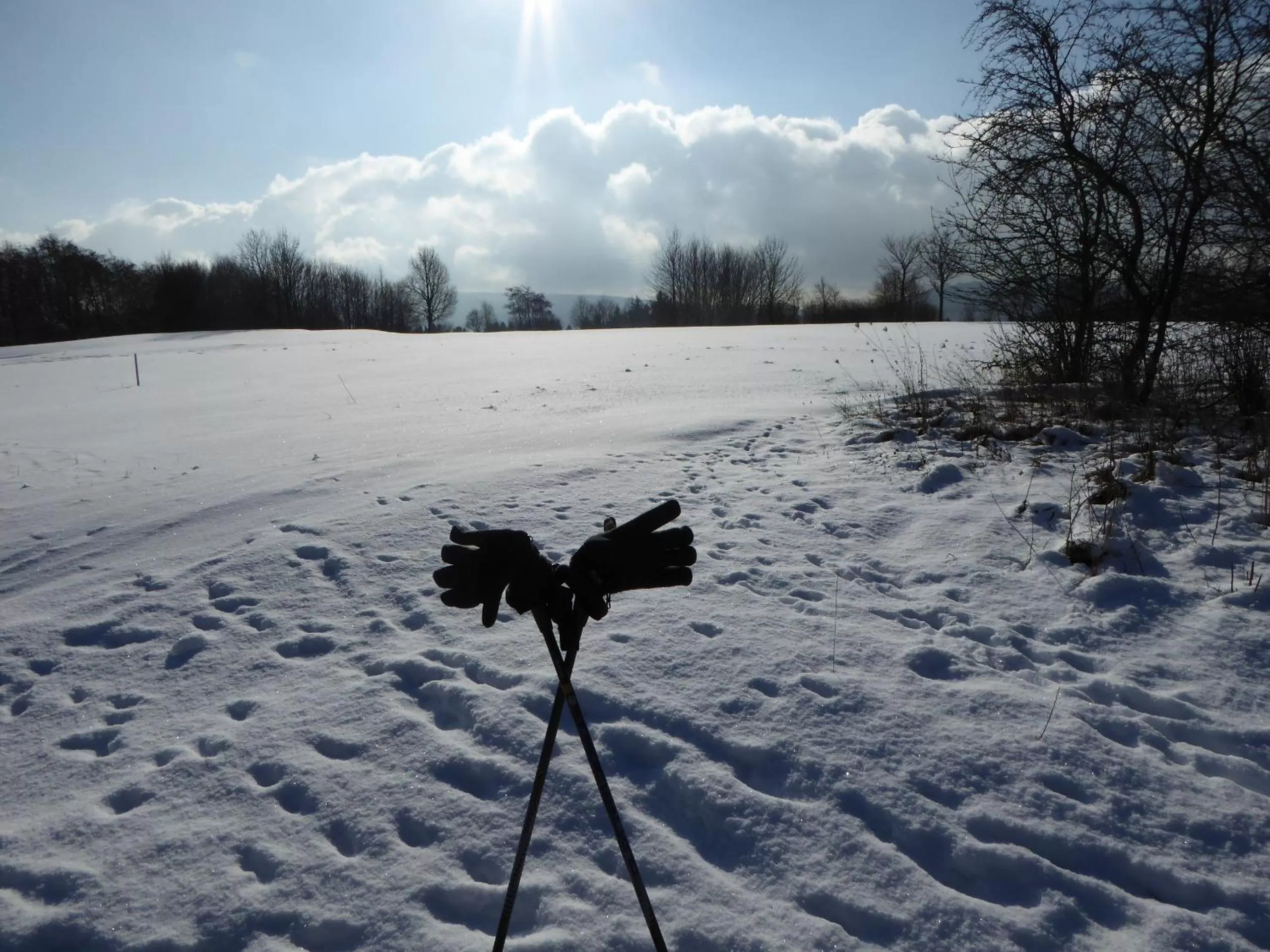 Nearby landmark in Hotel Sonnenhof