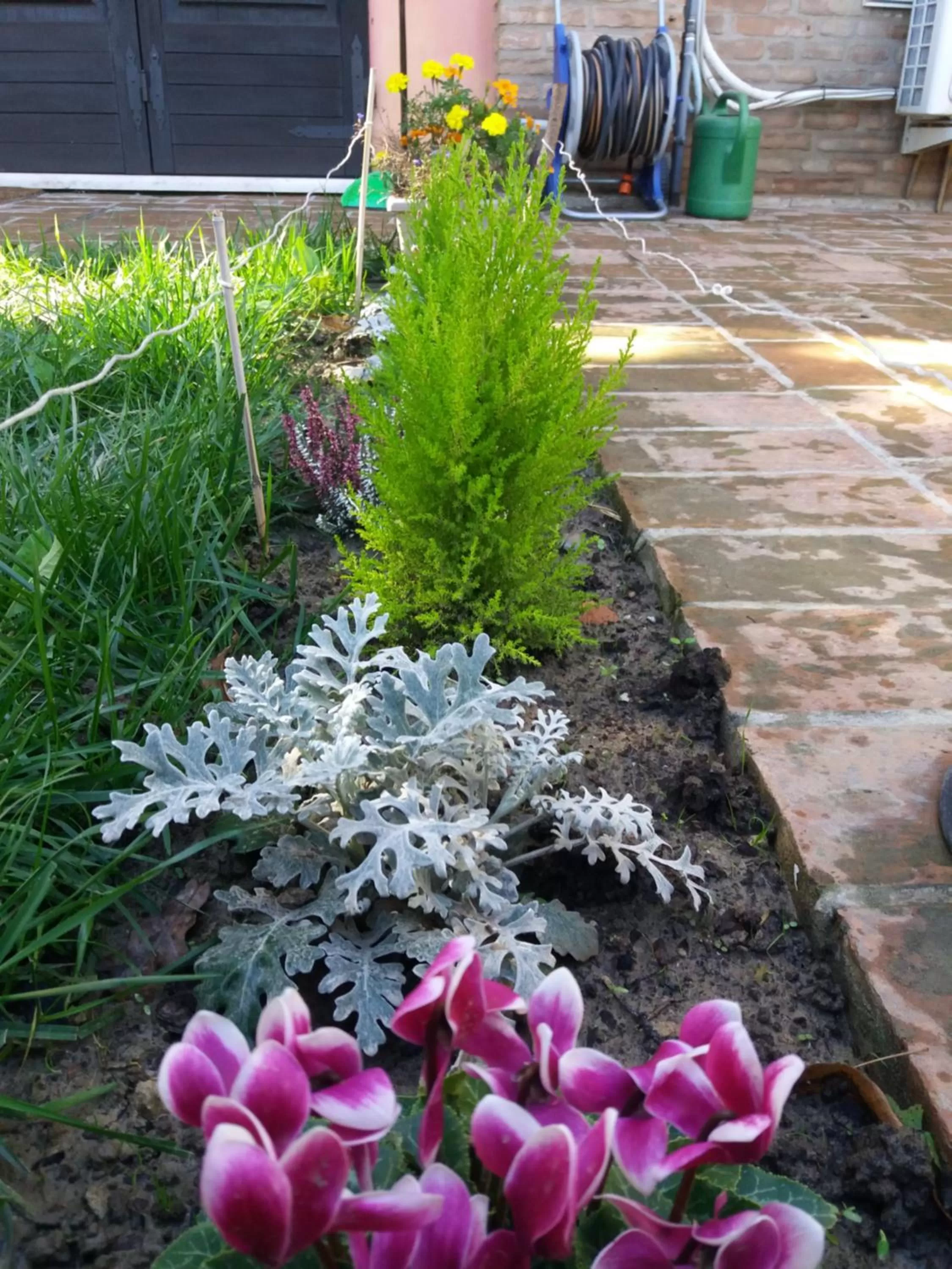 Garden in R&B un mondo a colori