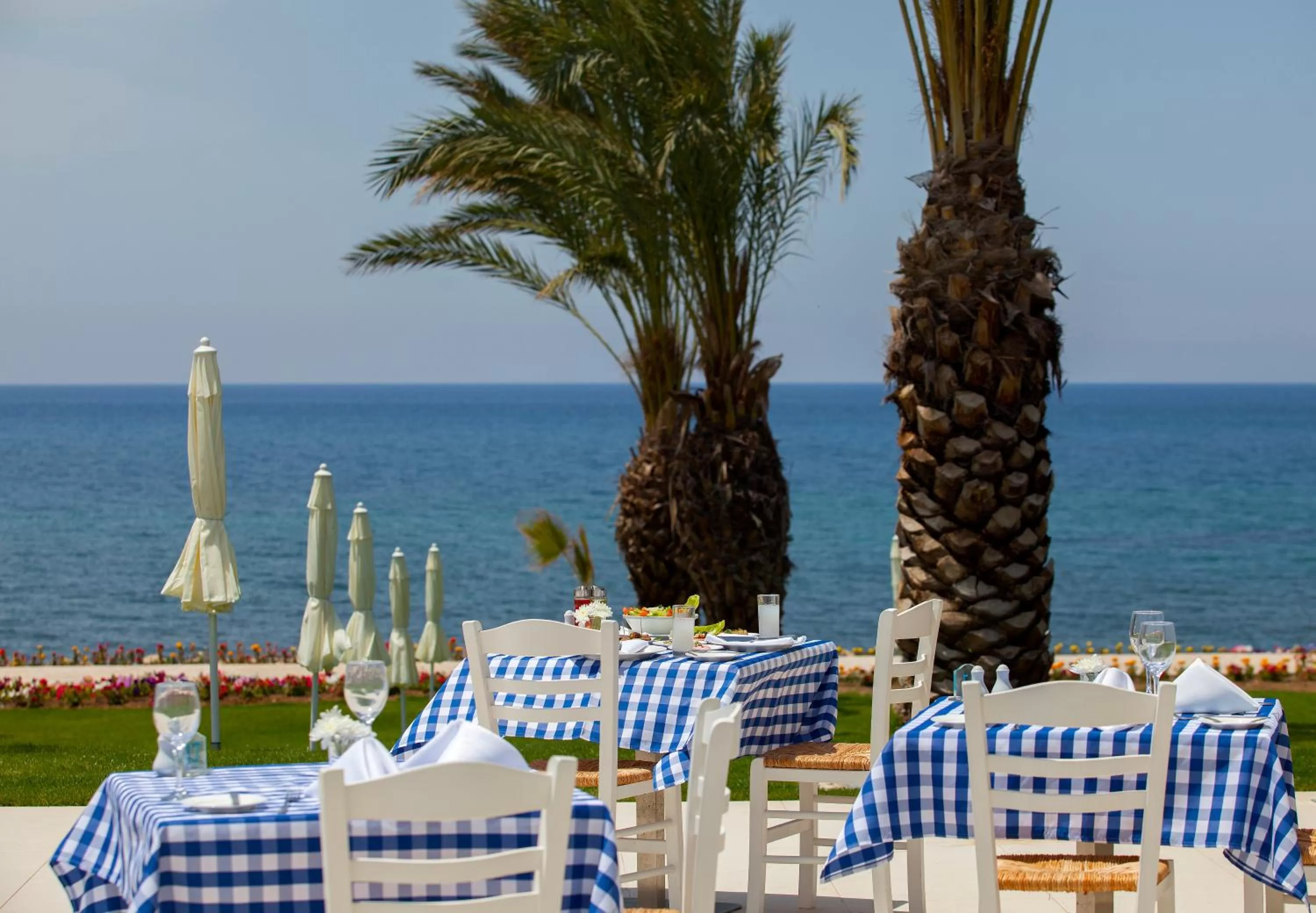 Restaurant/places to eat in King Evelthon Beach Hotel & Resort