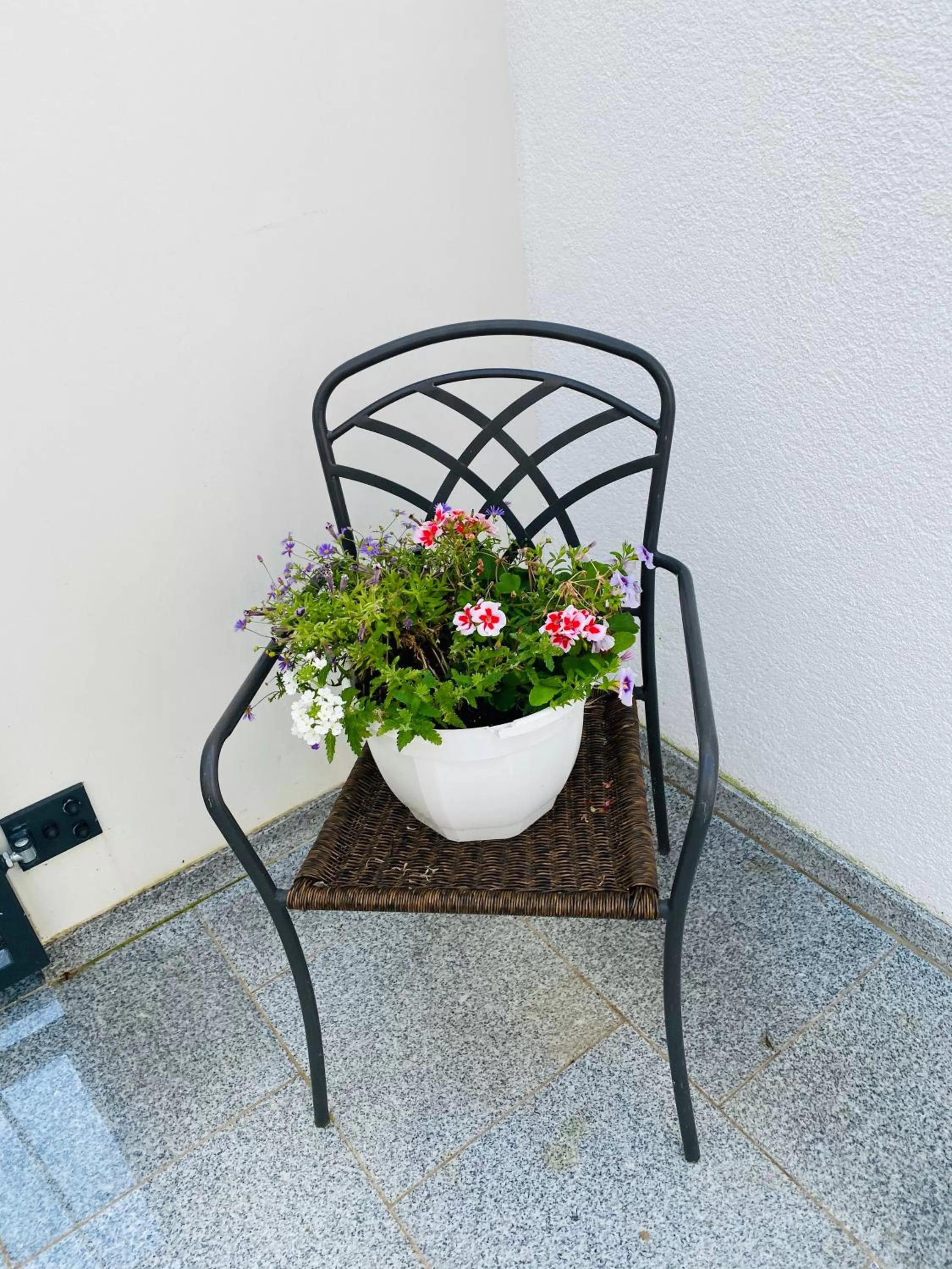 Patio in Moderne Wohnung im Rhein-Main-Gebiet