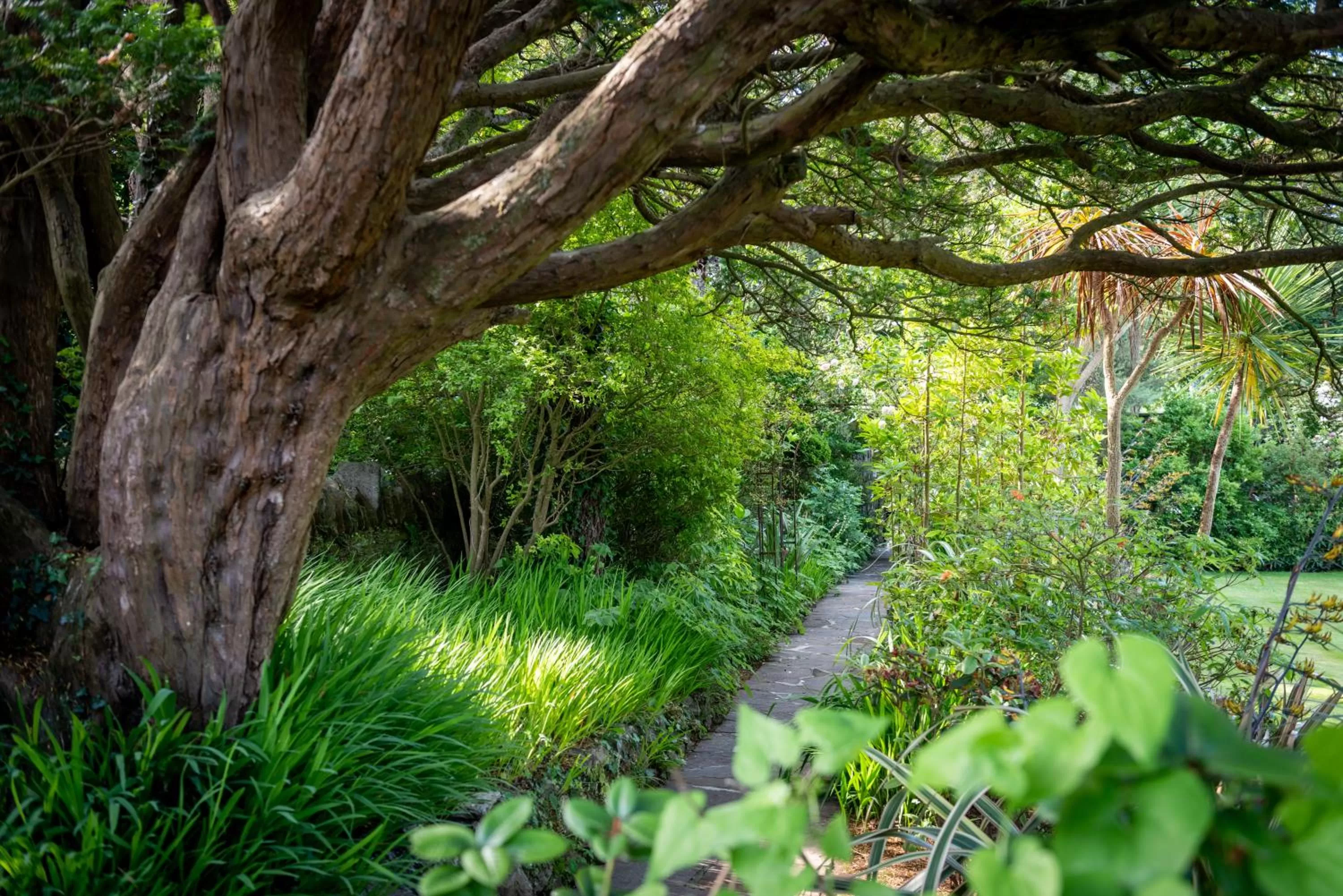 Natural Landscape in The Whitehouse