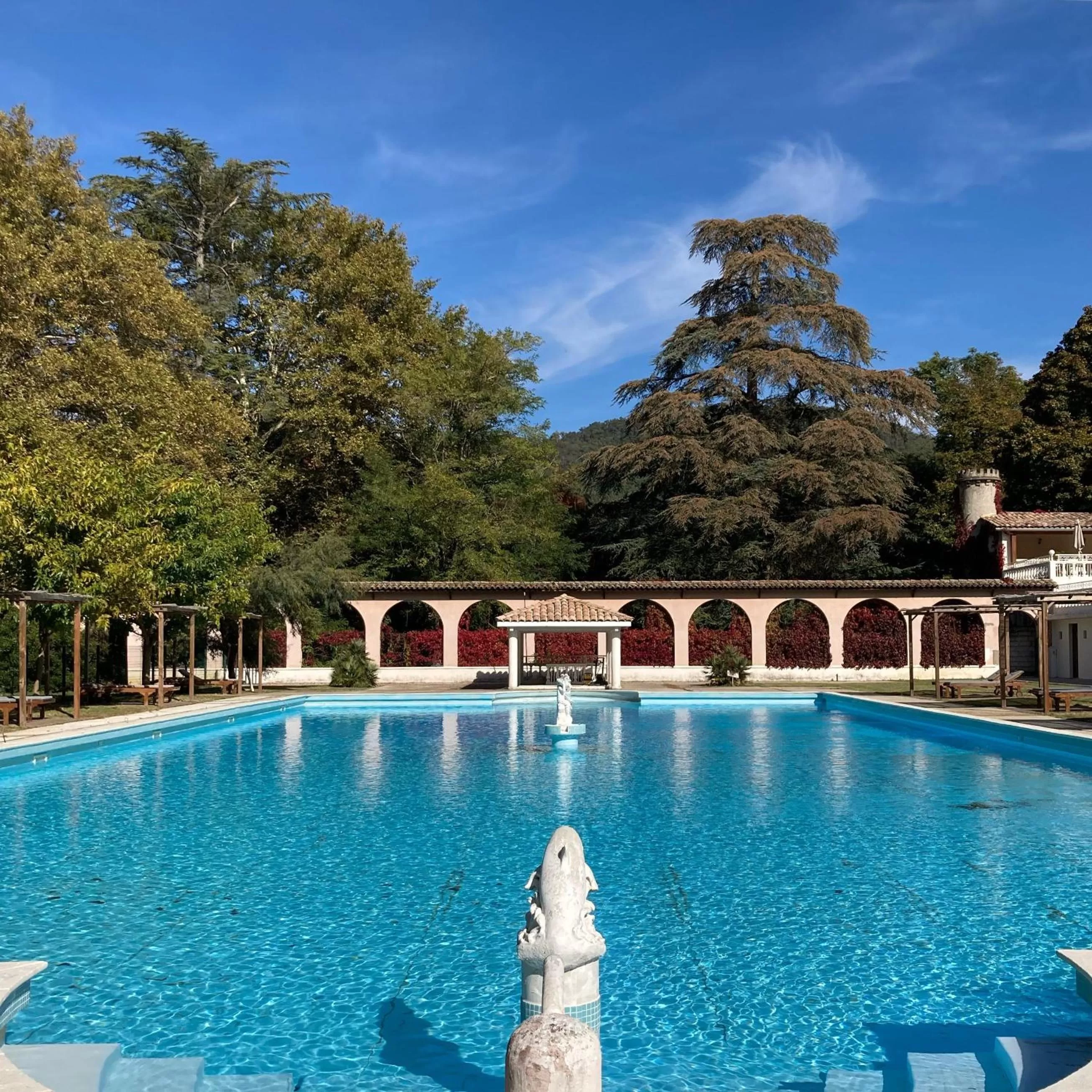 Swimming pool in Château de Fontager