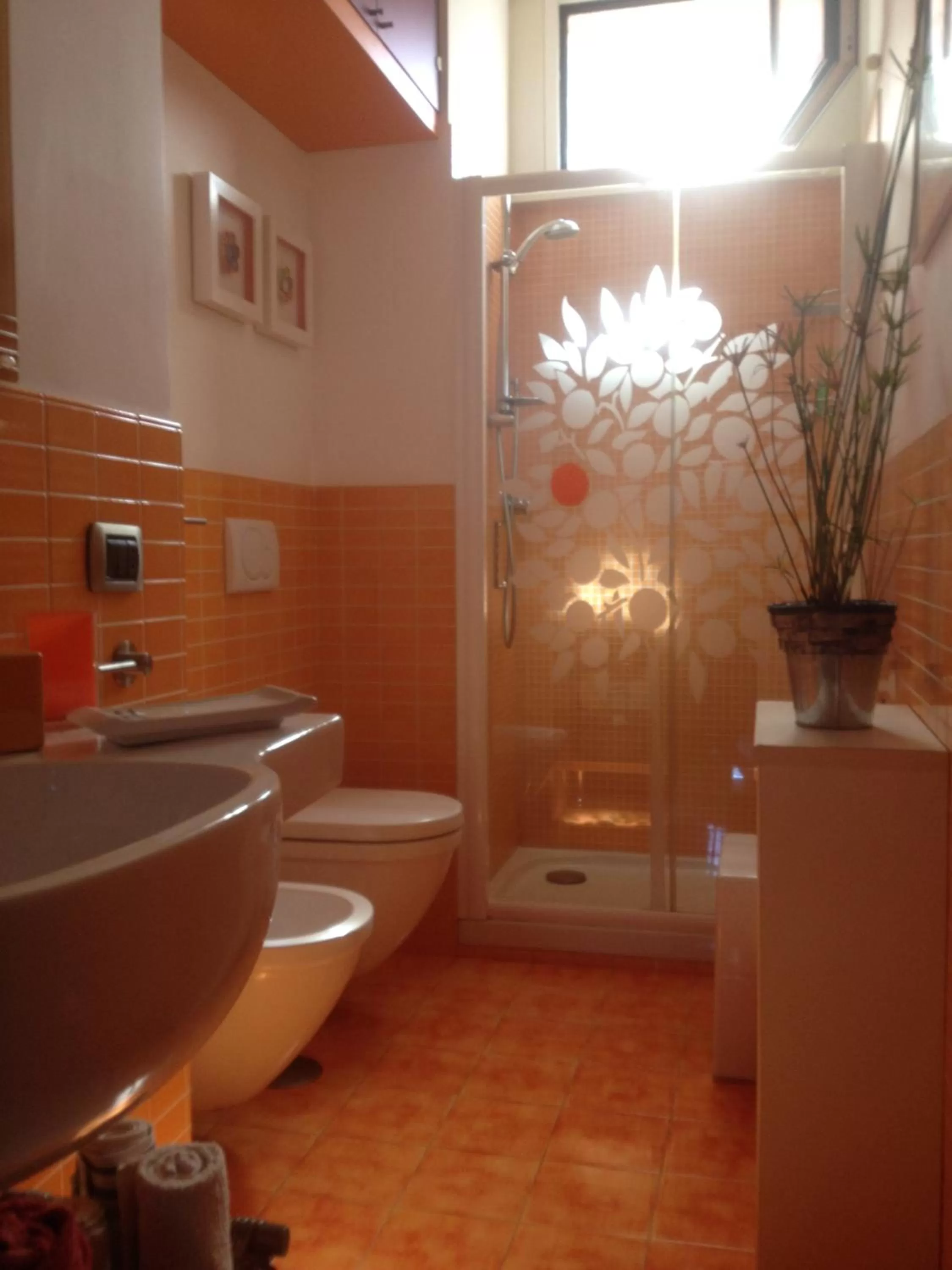 Shower in Domus Felix