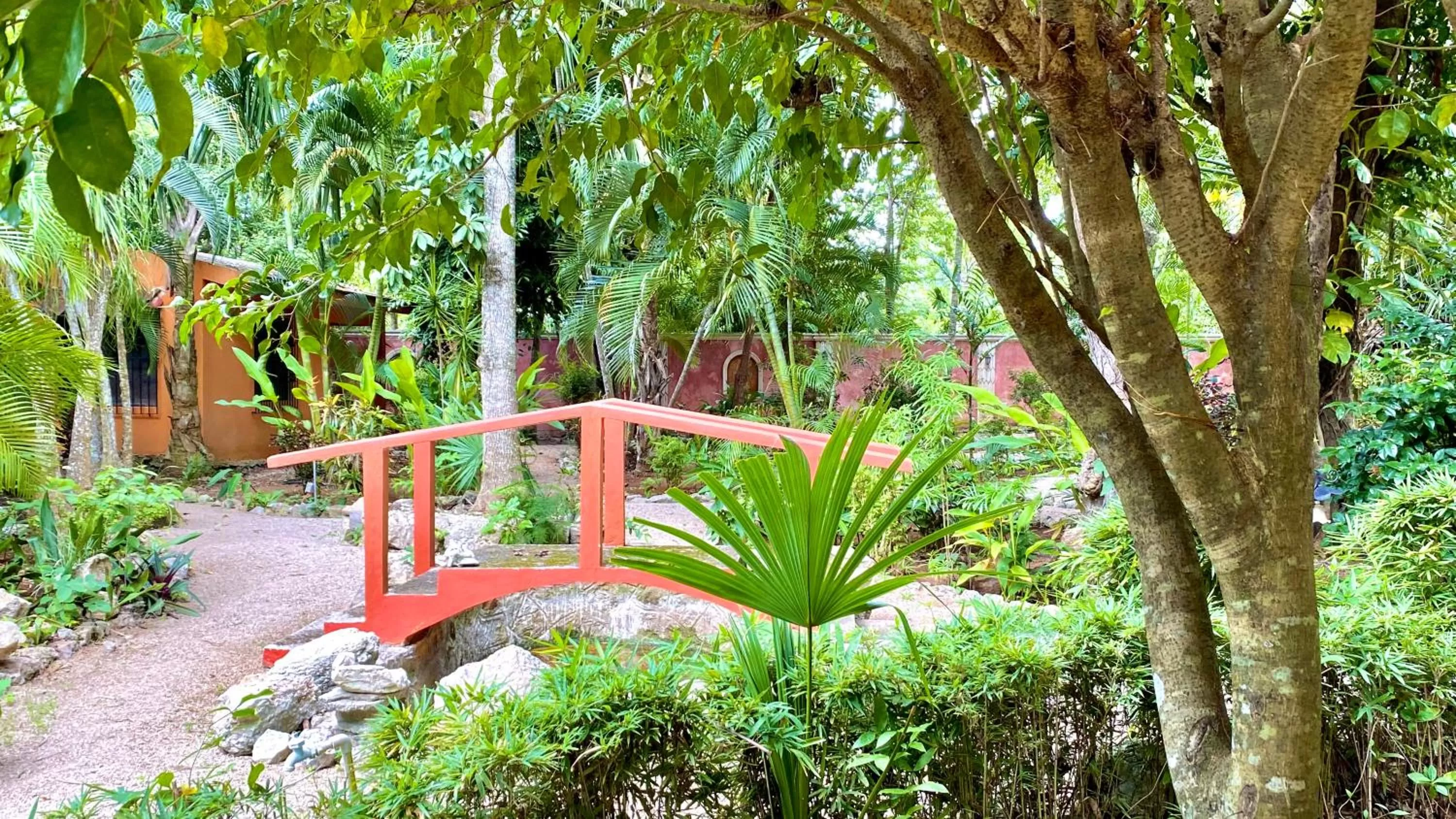 Garden in Gardenhotel Macan Ché B&B