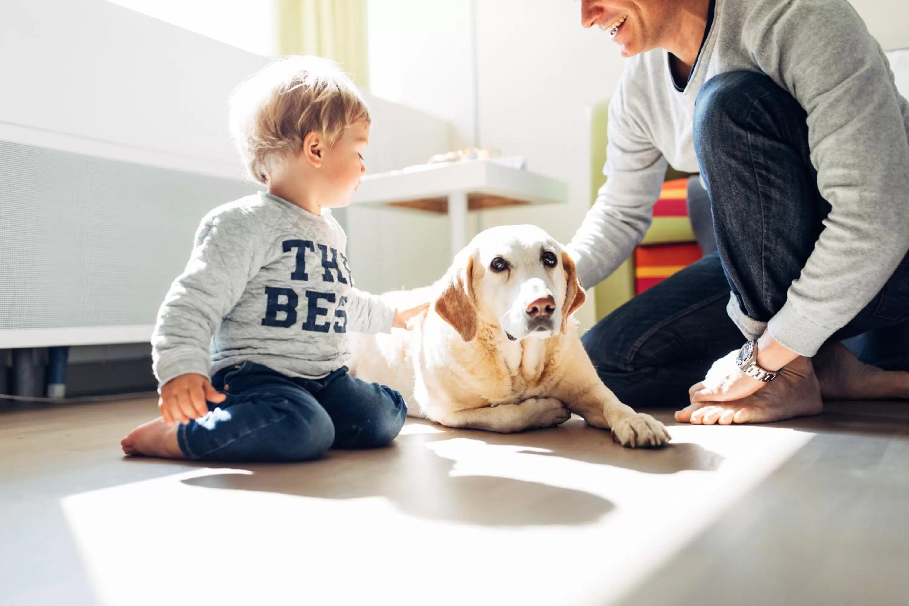 Pets in harry's home Wien hotel & apartments