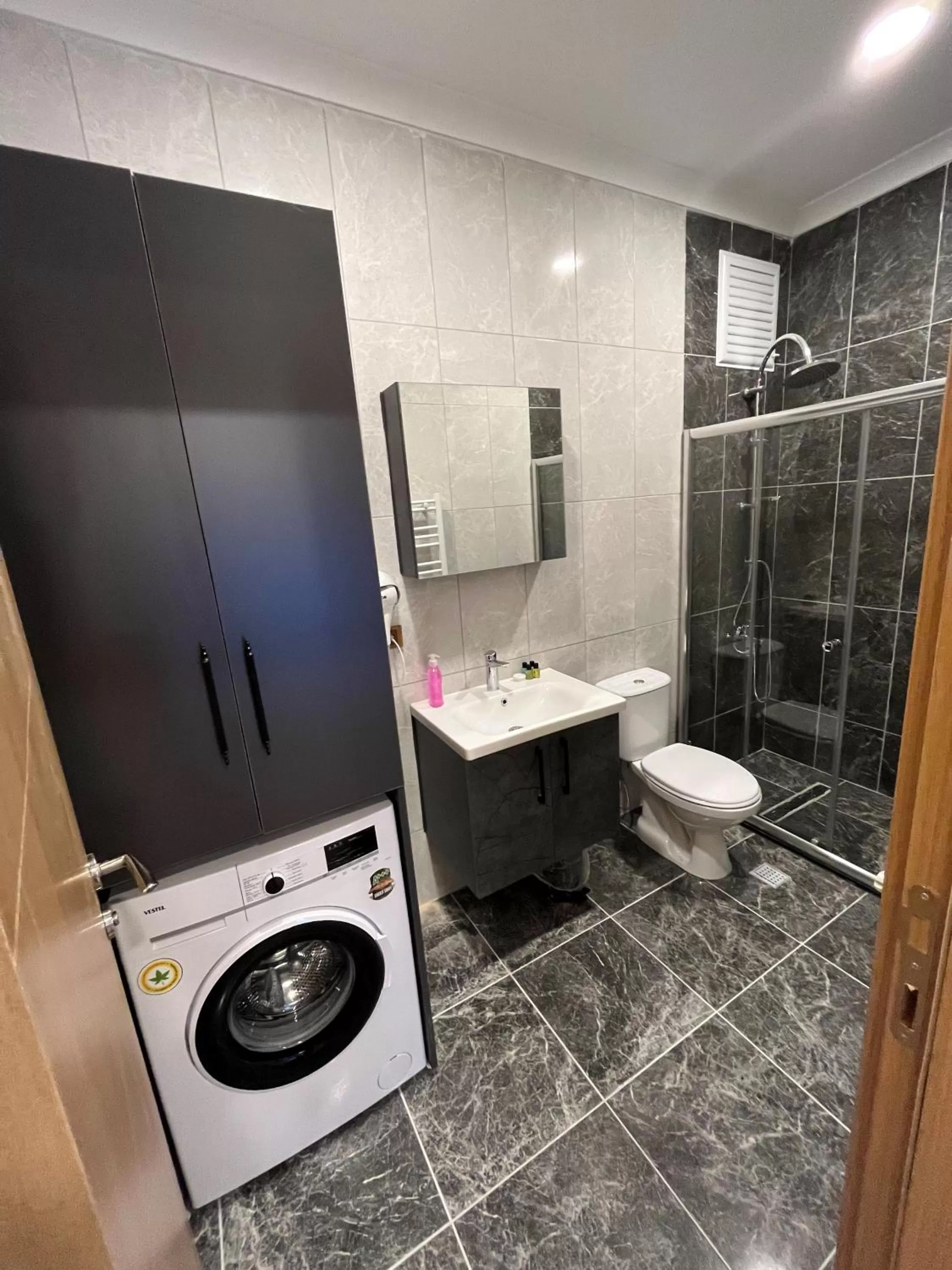 Bathroom in White House Apart