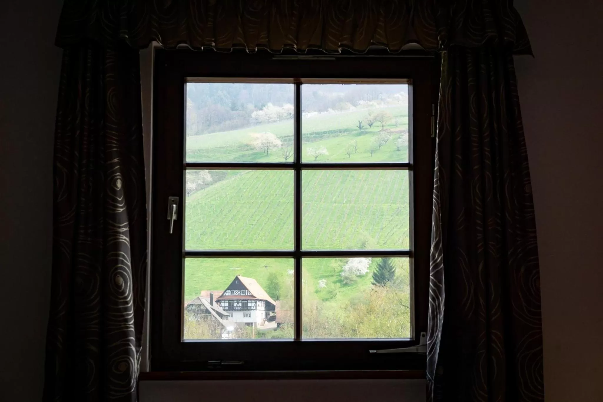 View (from property/room) in Naturhotel Holzwurm
